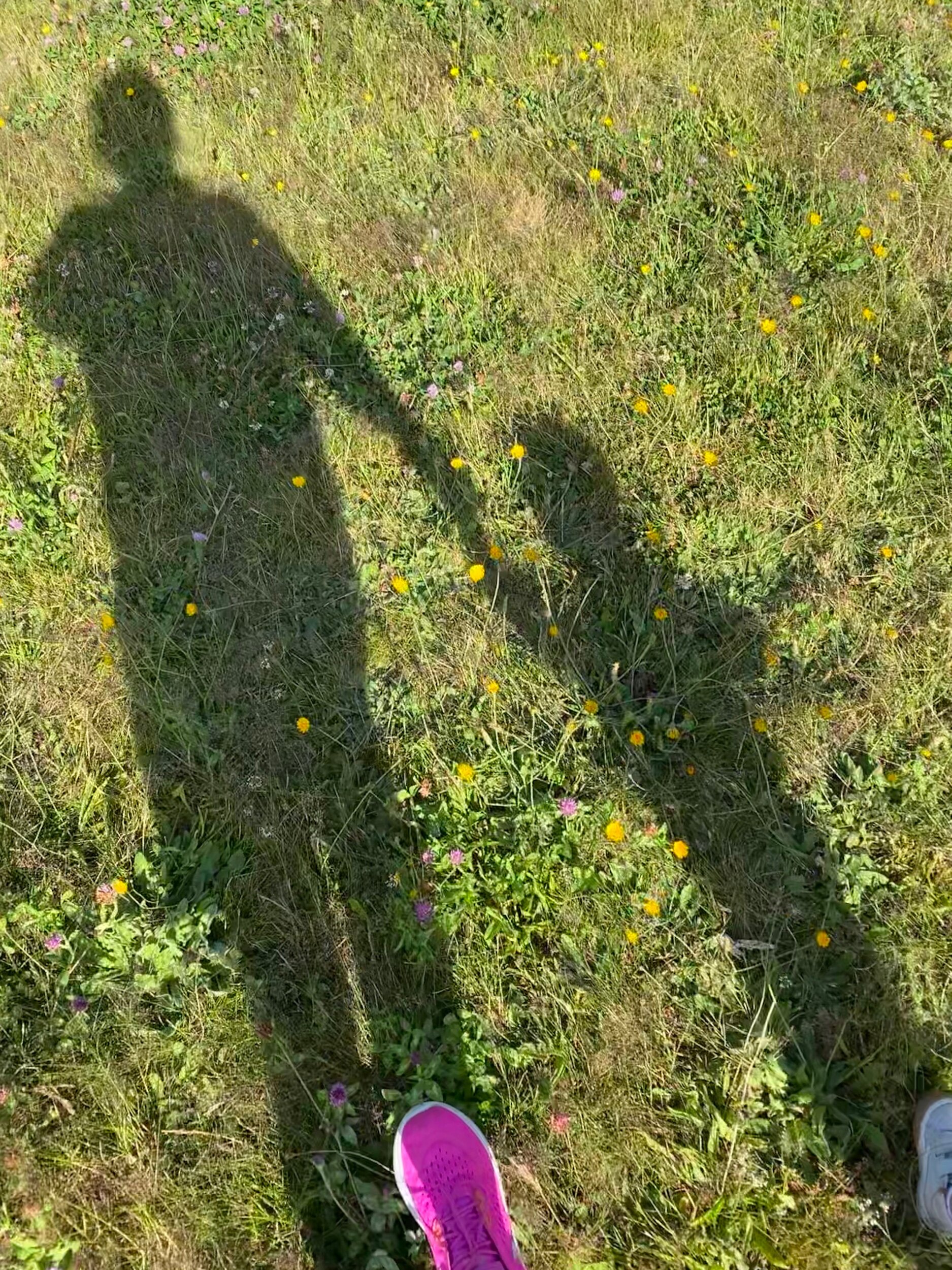 “I want to hold your hand”