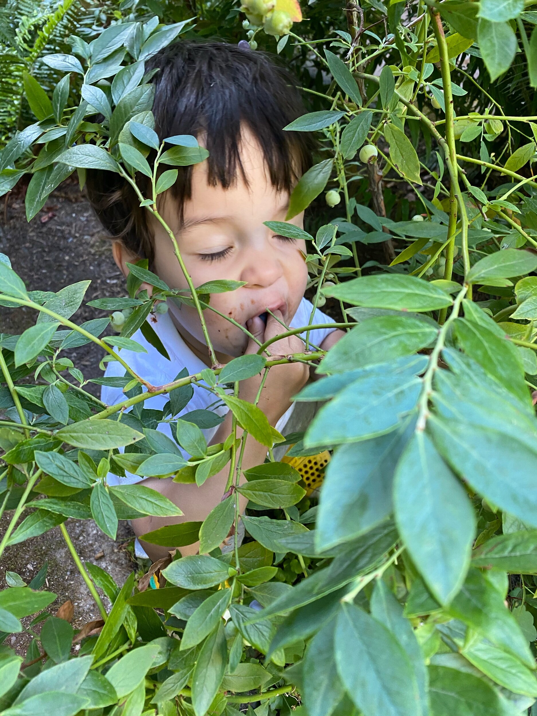 Sweet, sweet, satisfaction