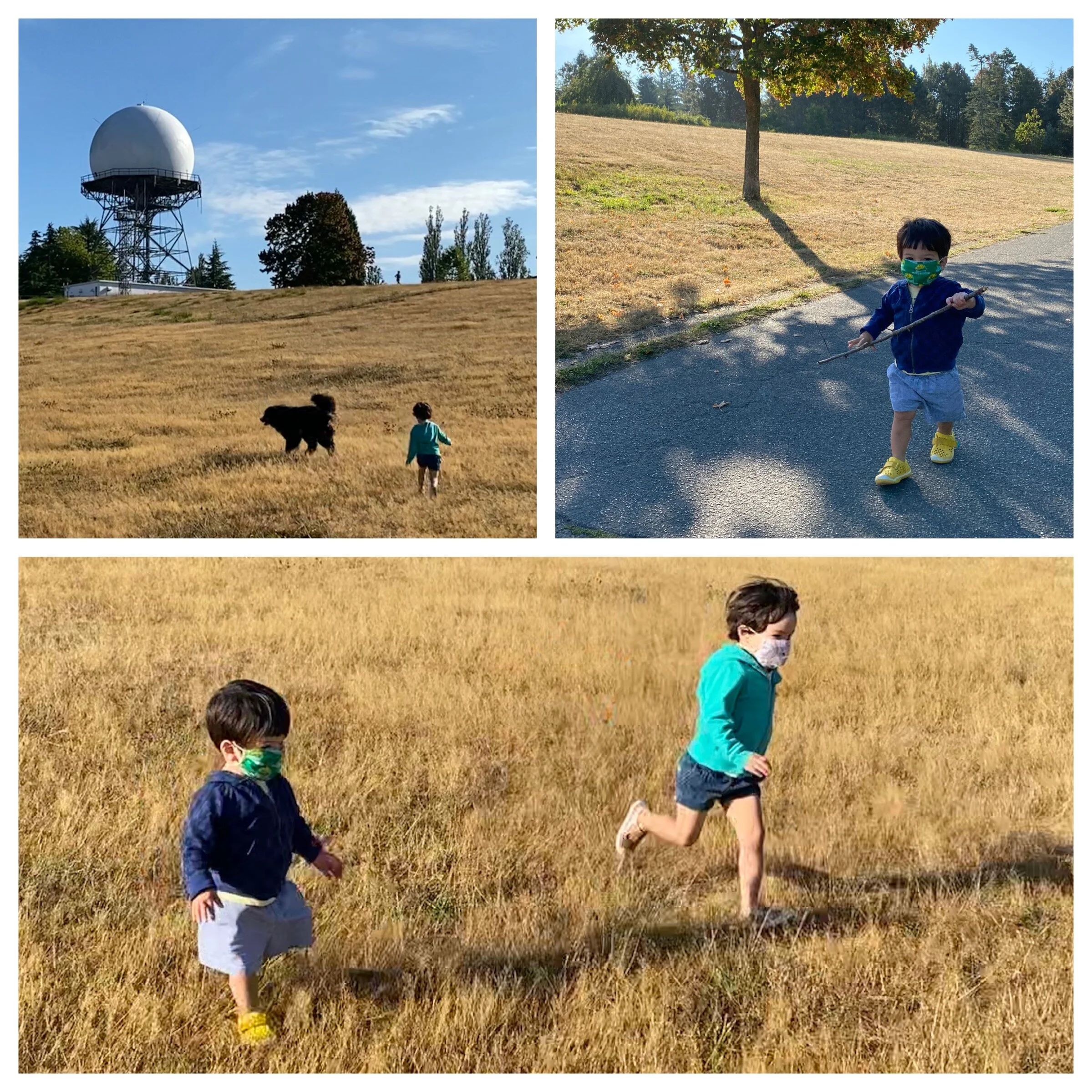 Discovery Park morning