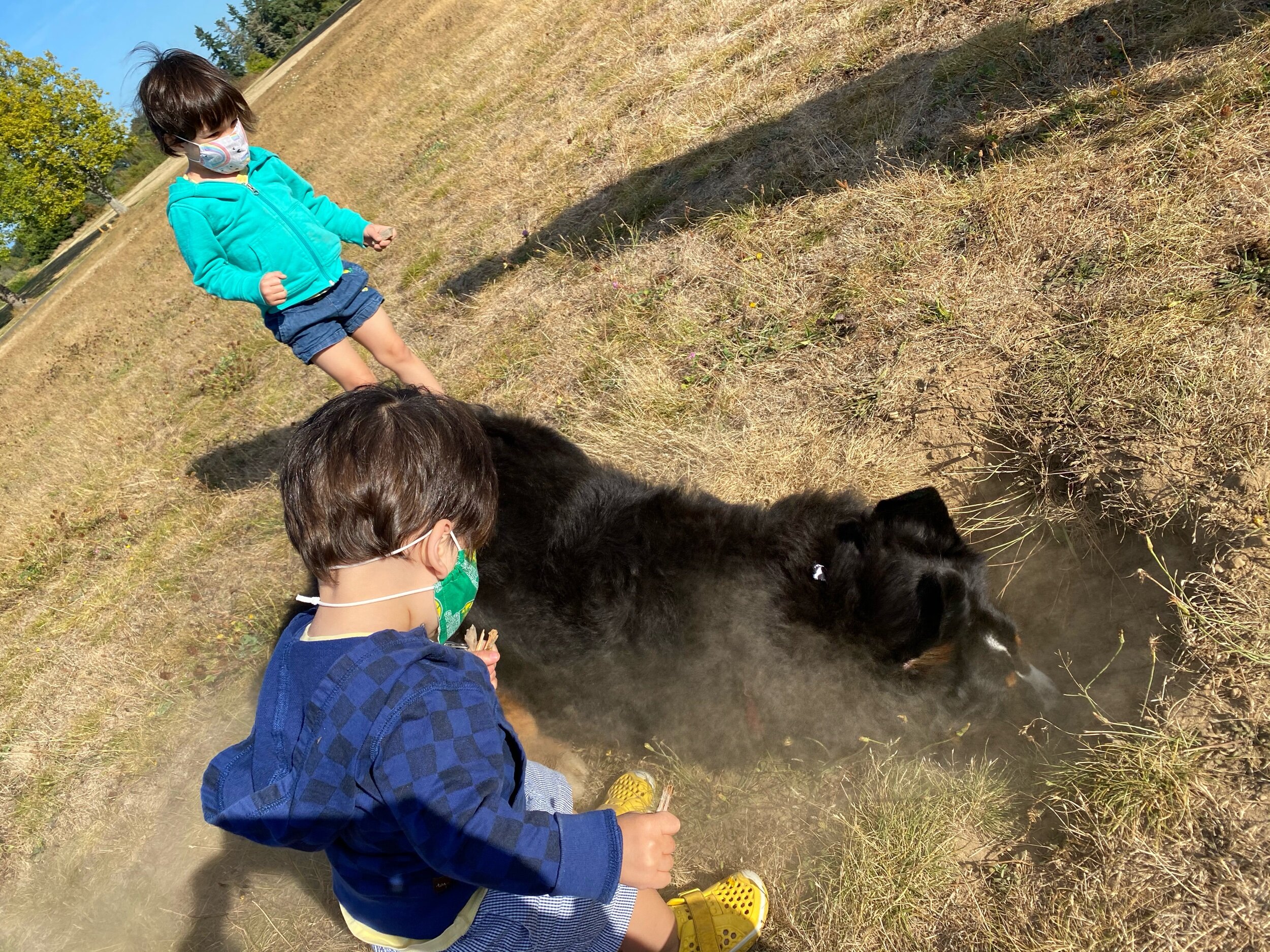 To the center of the earth