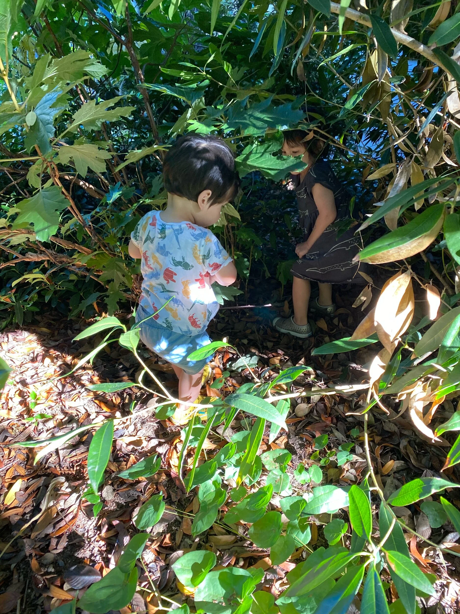 “We’re super good at hiking”