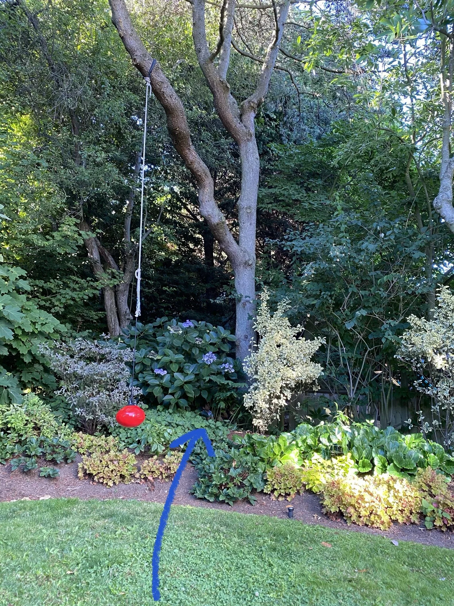 Where’d the kids go?