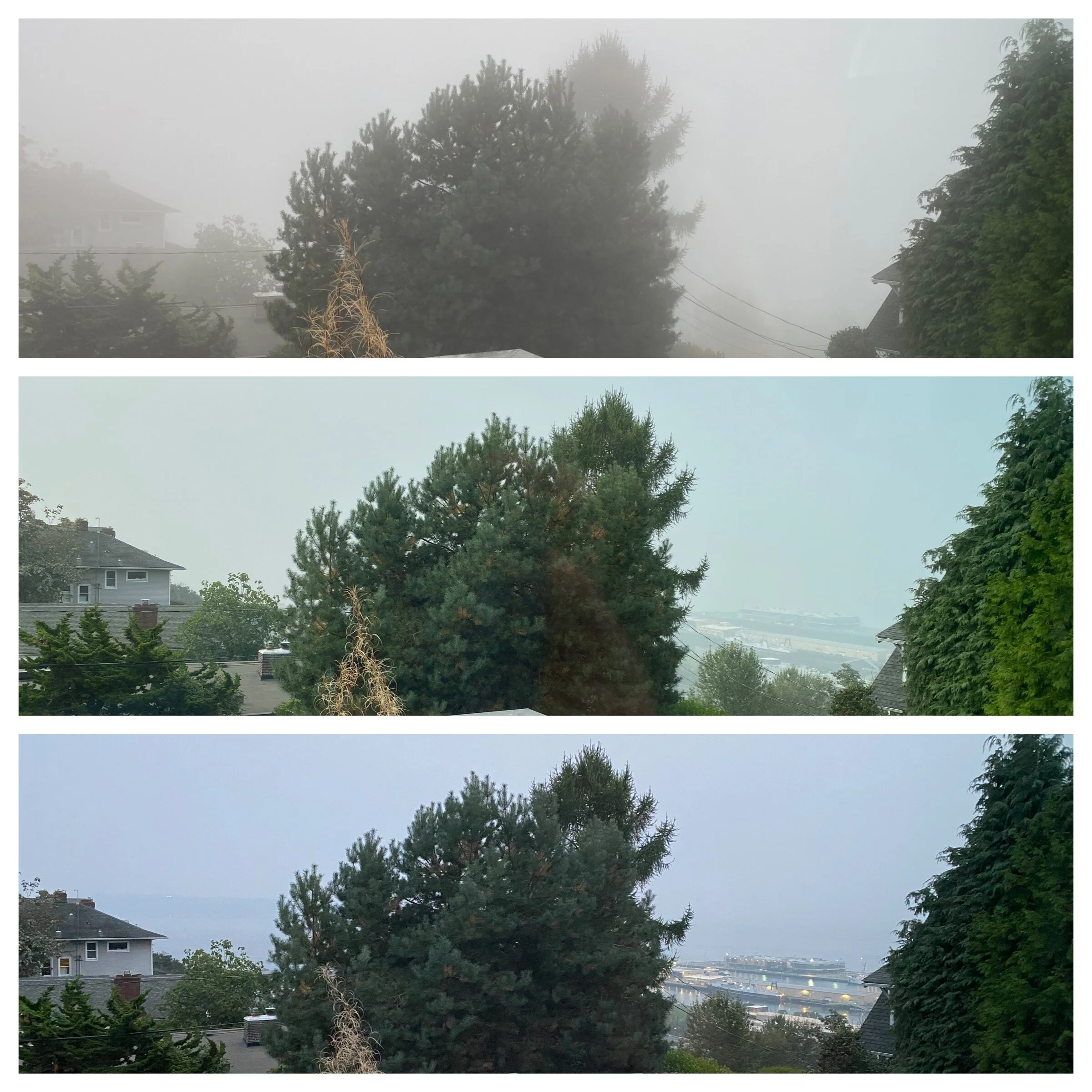 Sunday Tuesday Thursday