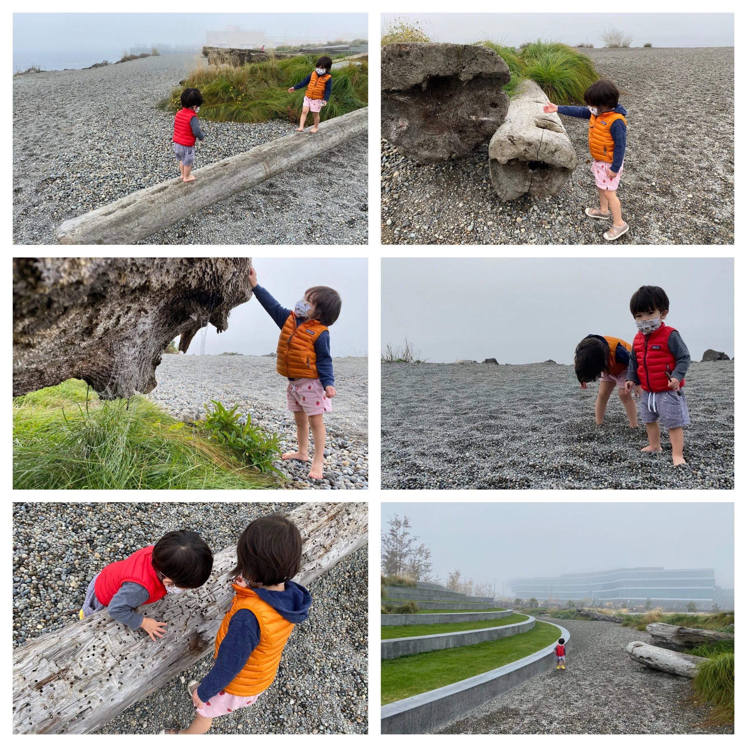 Again, rocks and logs