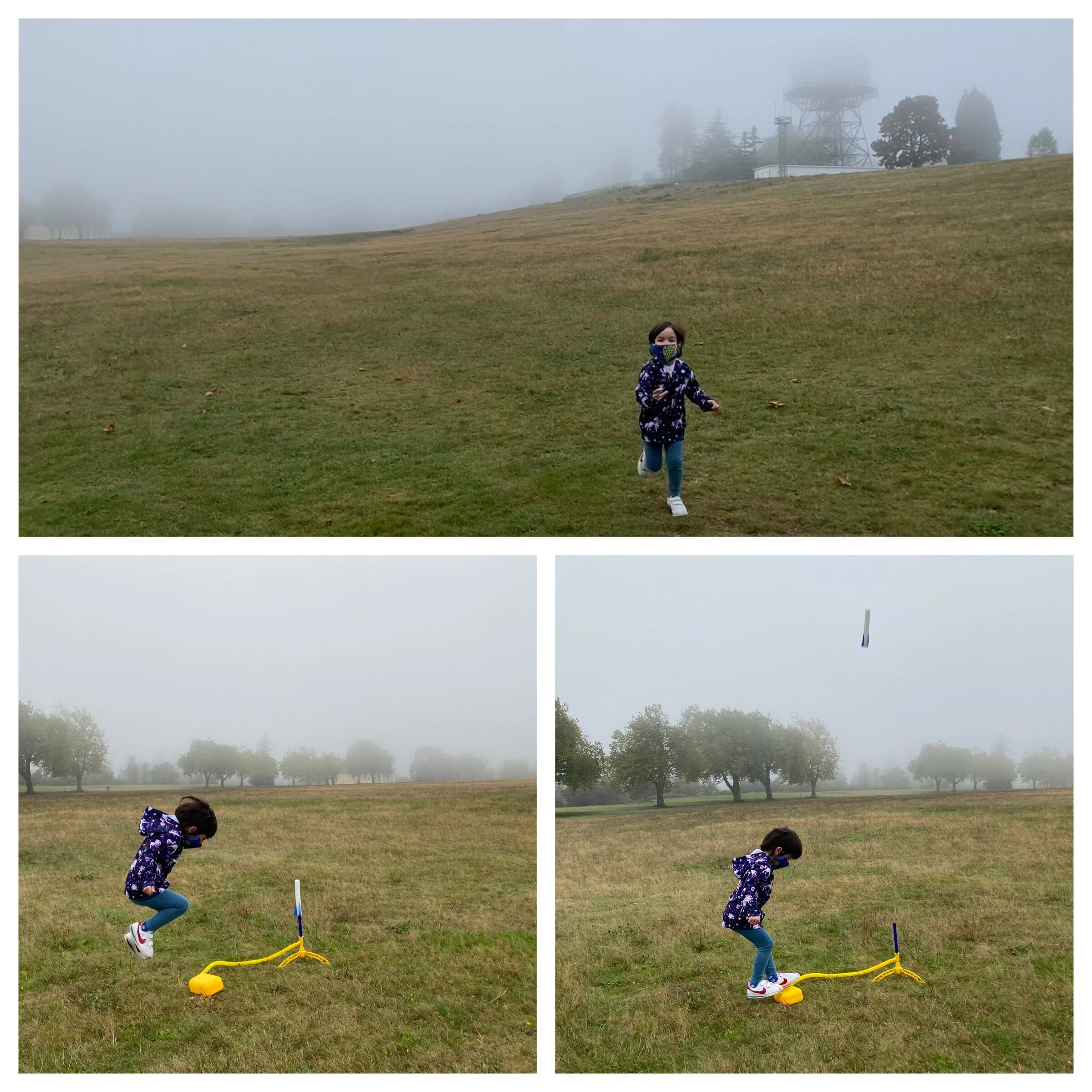 Discovery Park morning