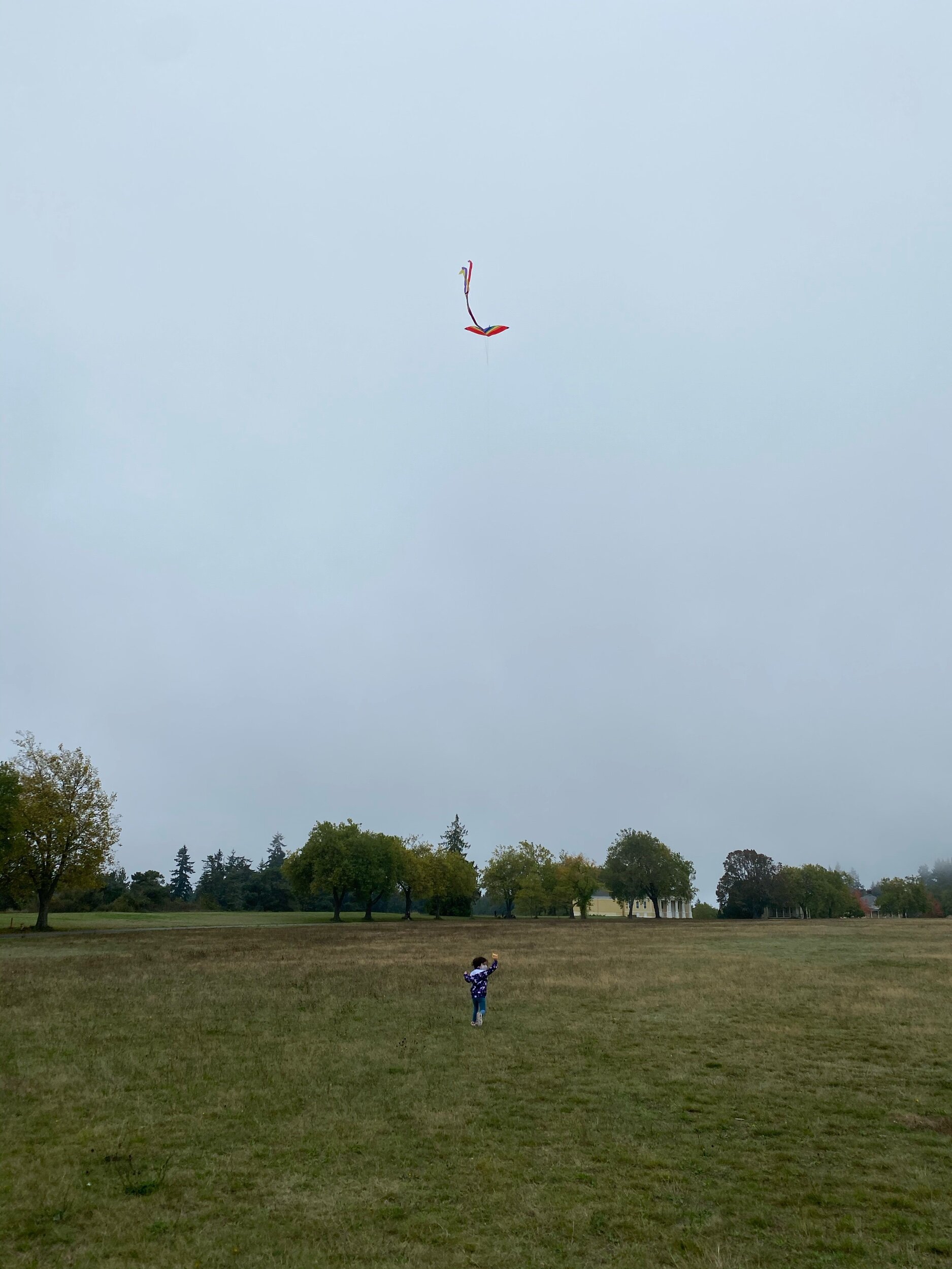 Kite flying