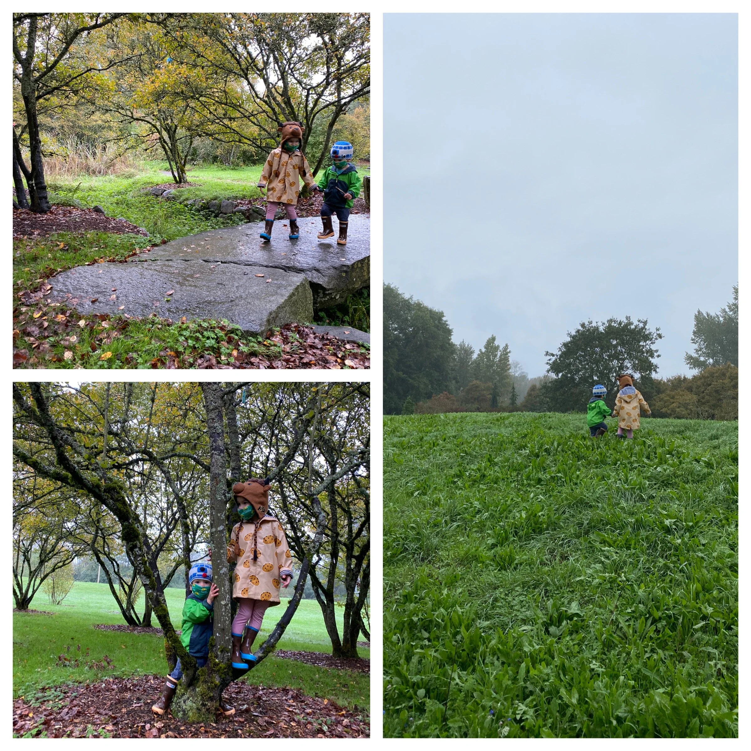 They still like each other