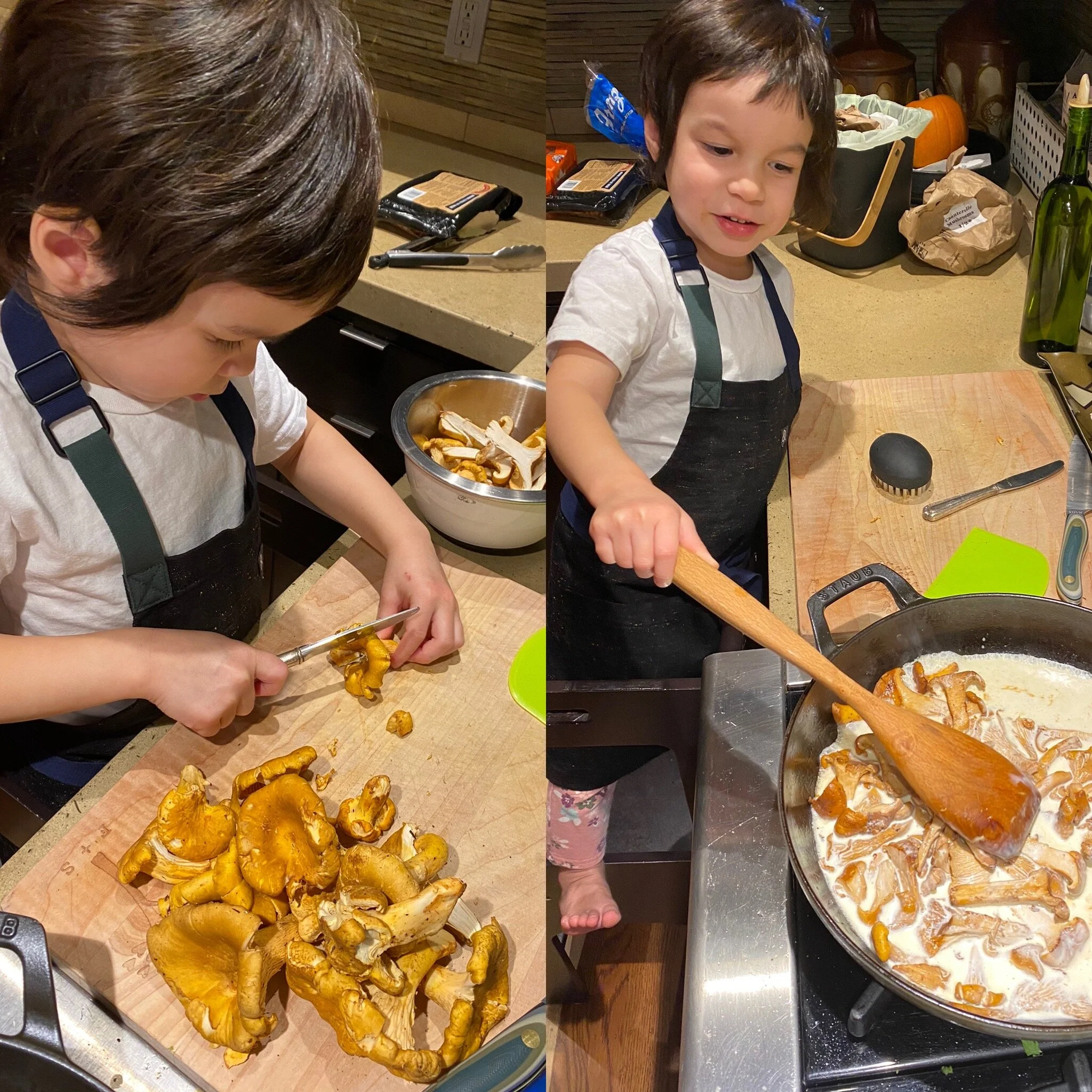 Chanterelle toast
