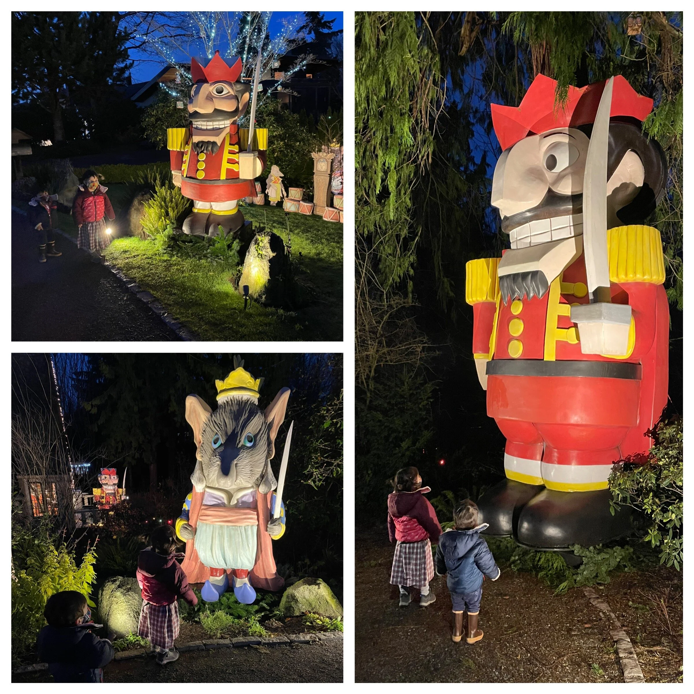 Wild (ballet) Things