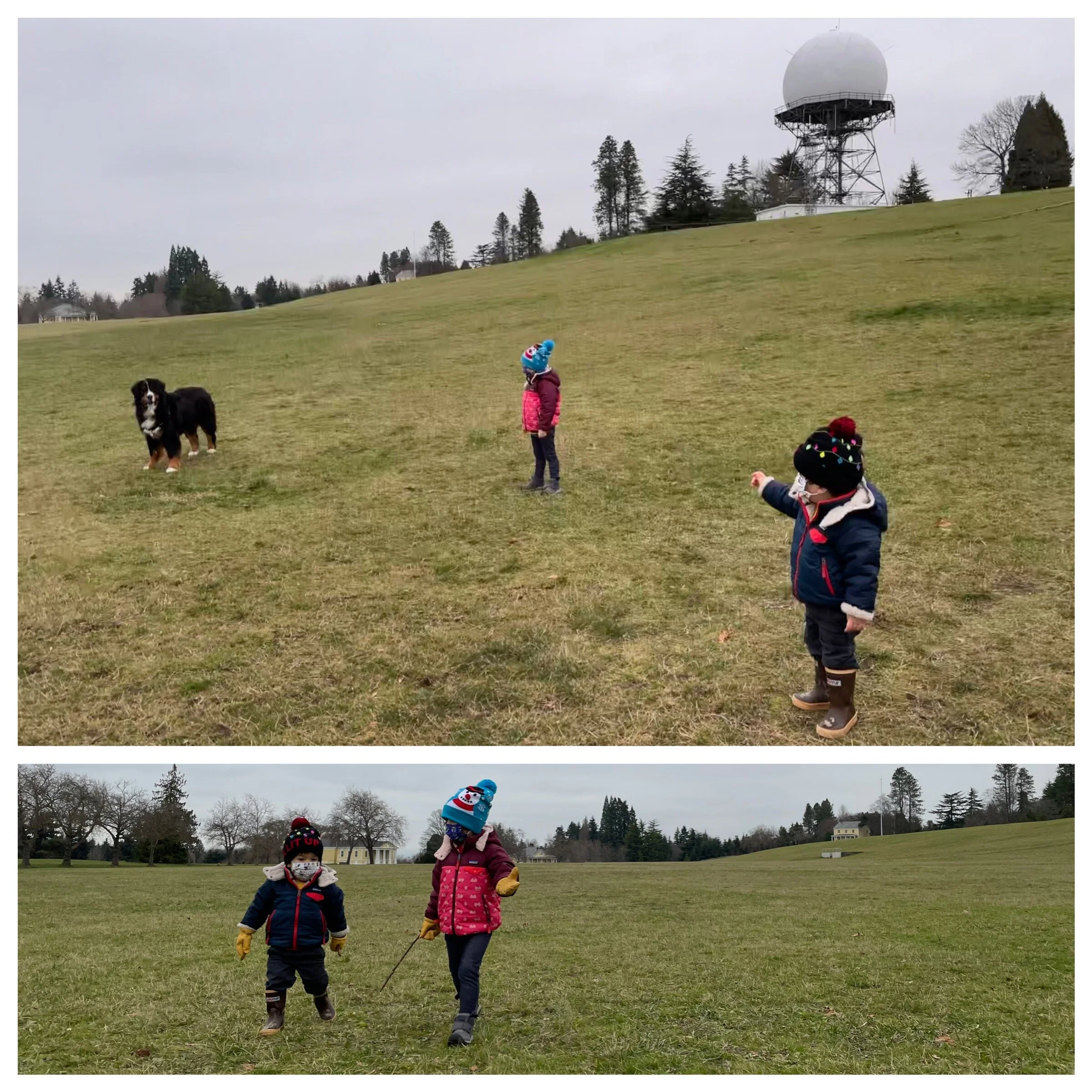 Discovery Park morning