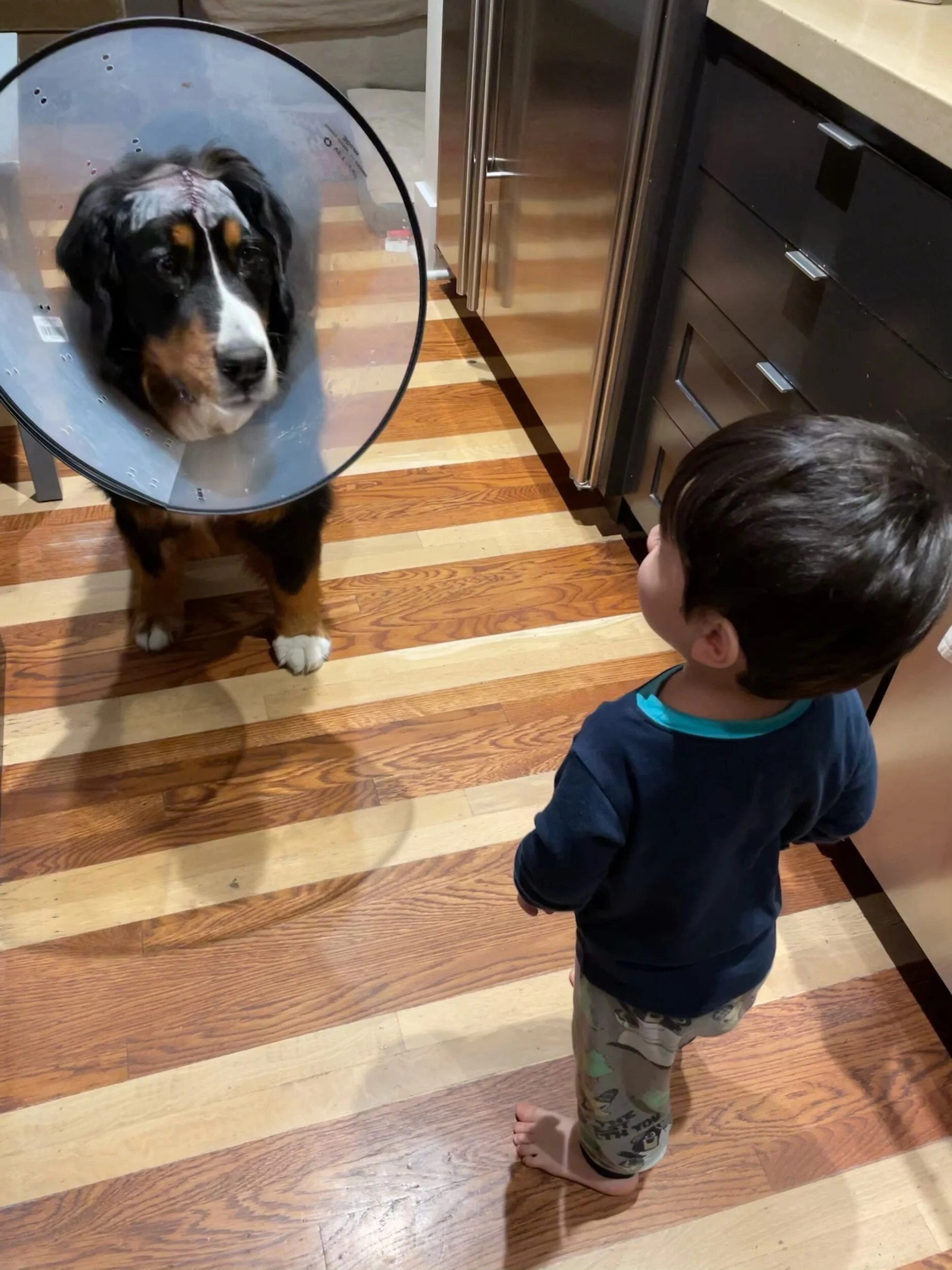 It’s not what you think