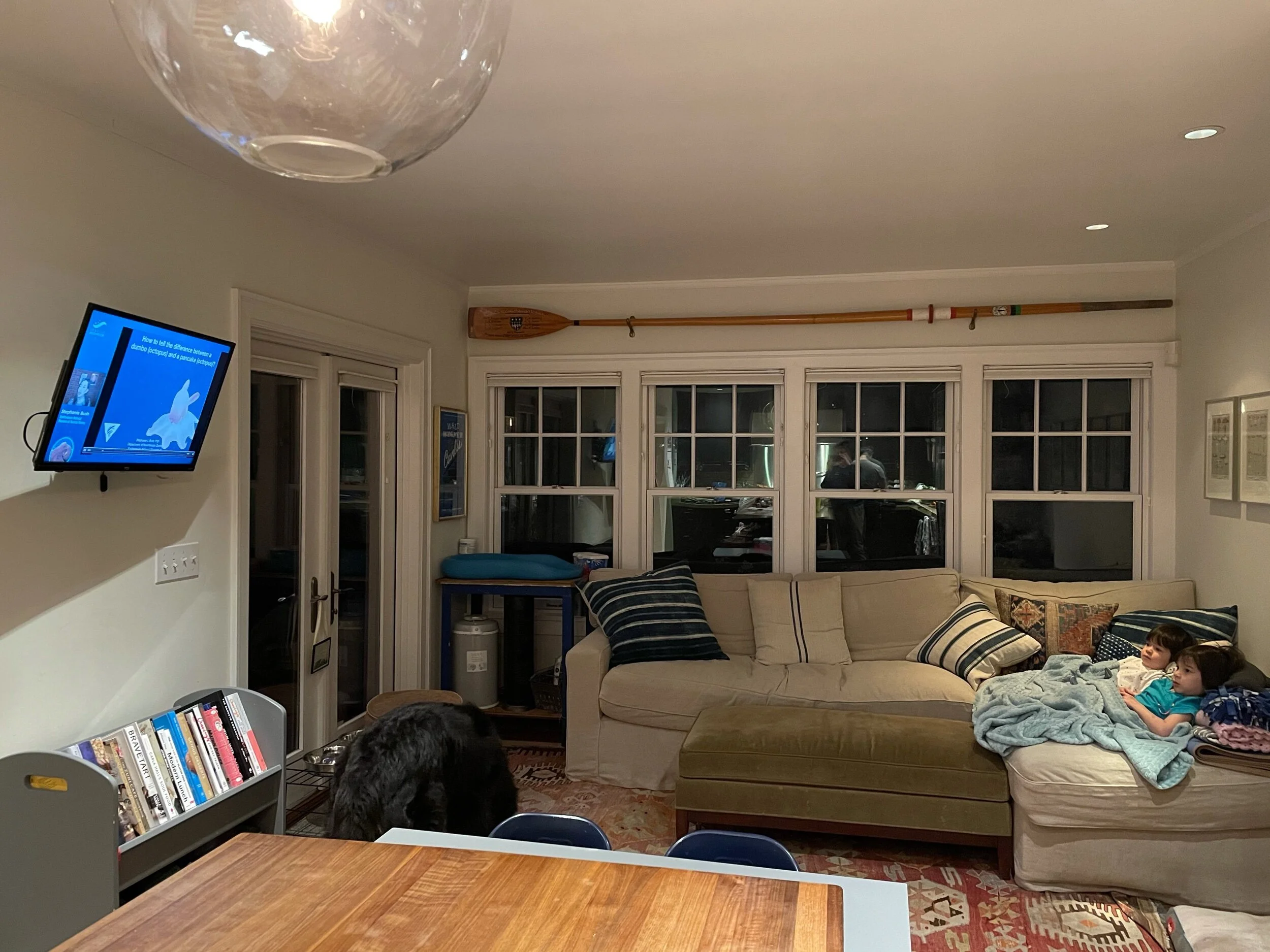 Octopus Lightning Talks