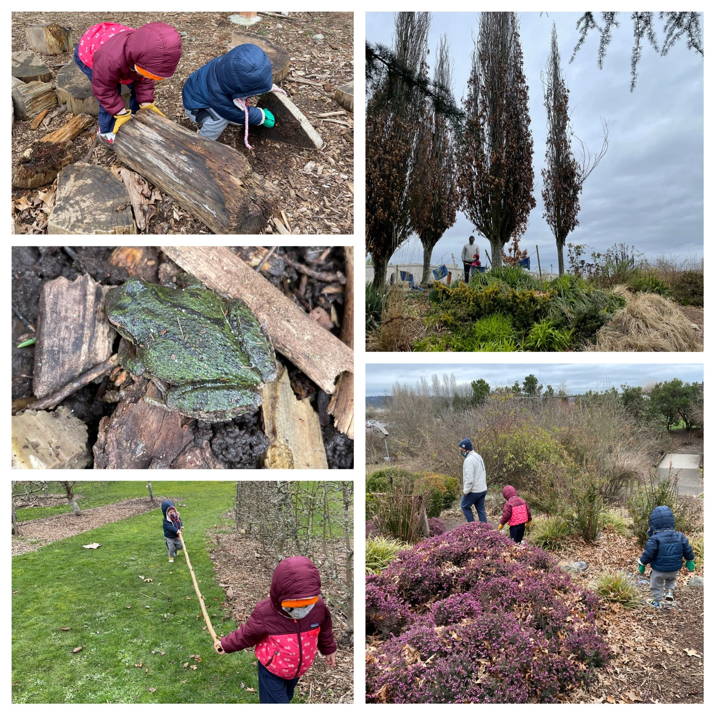 Magnuson Park Children’s Garden