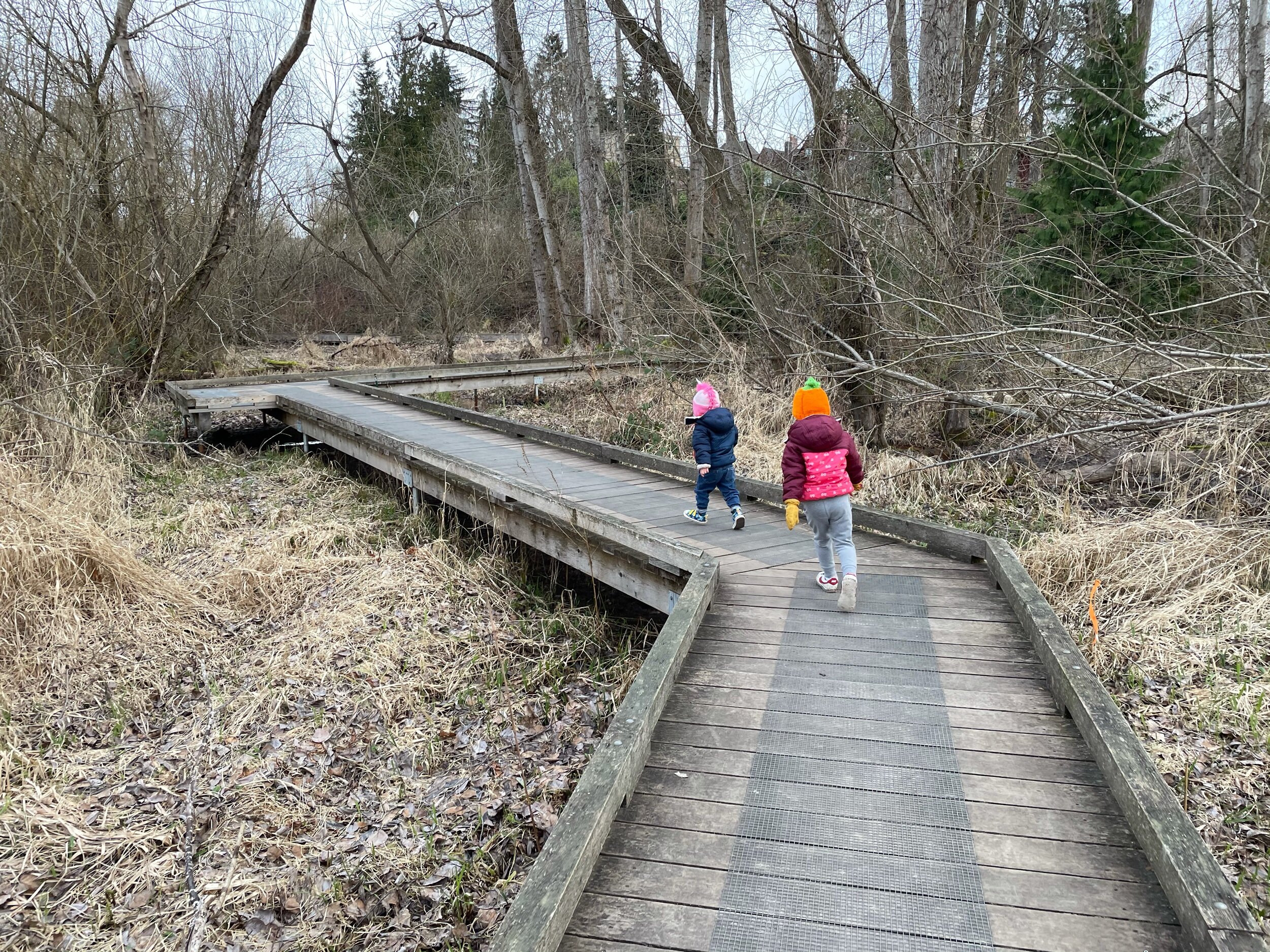 Down by the boardwalk