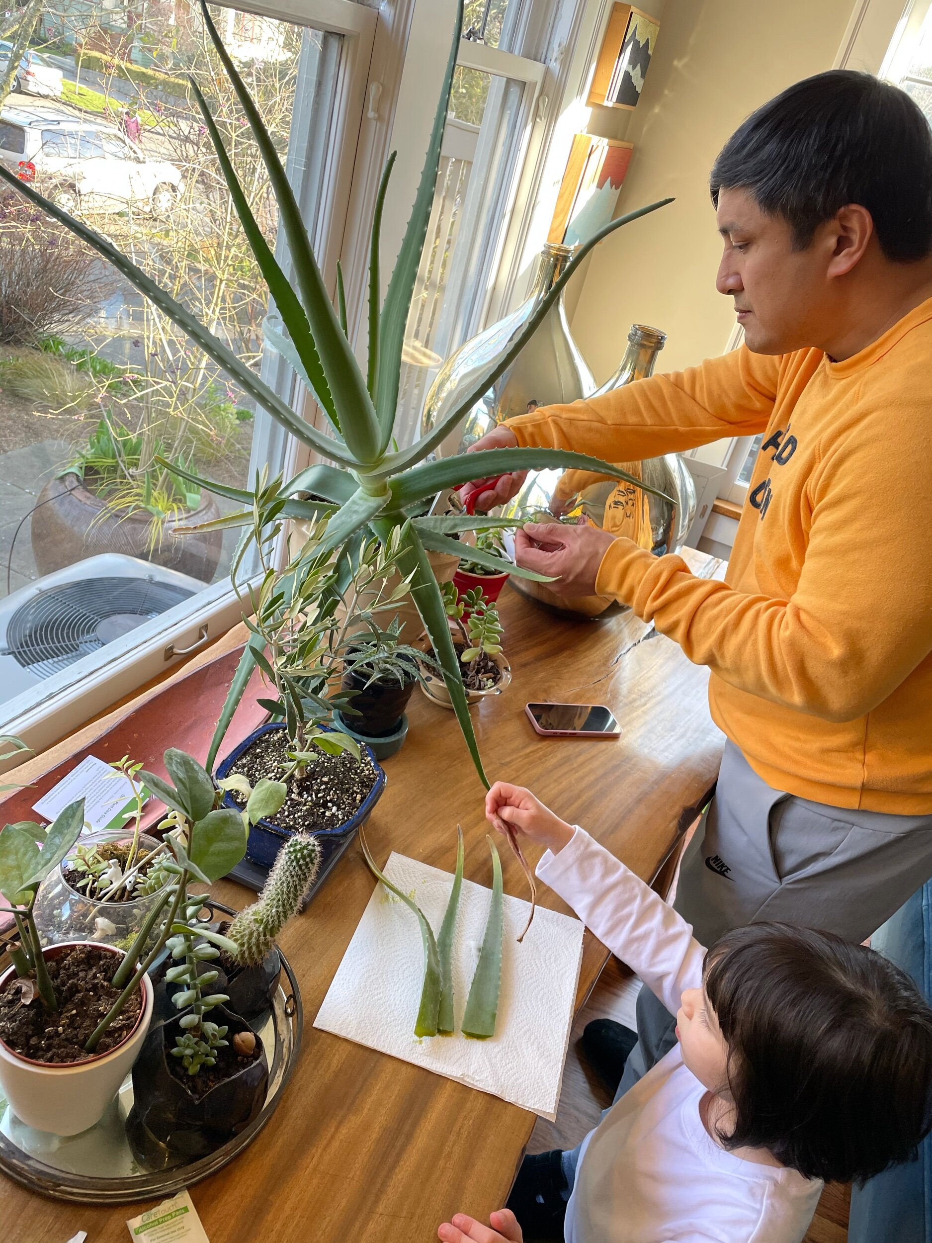 The conservatory