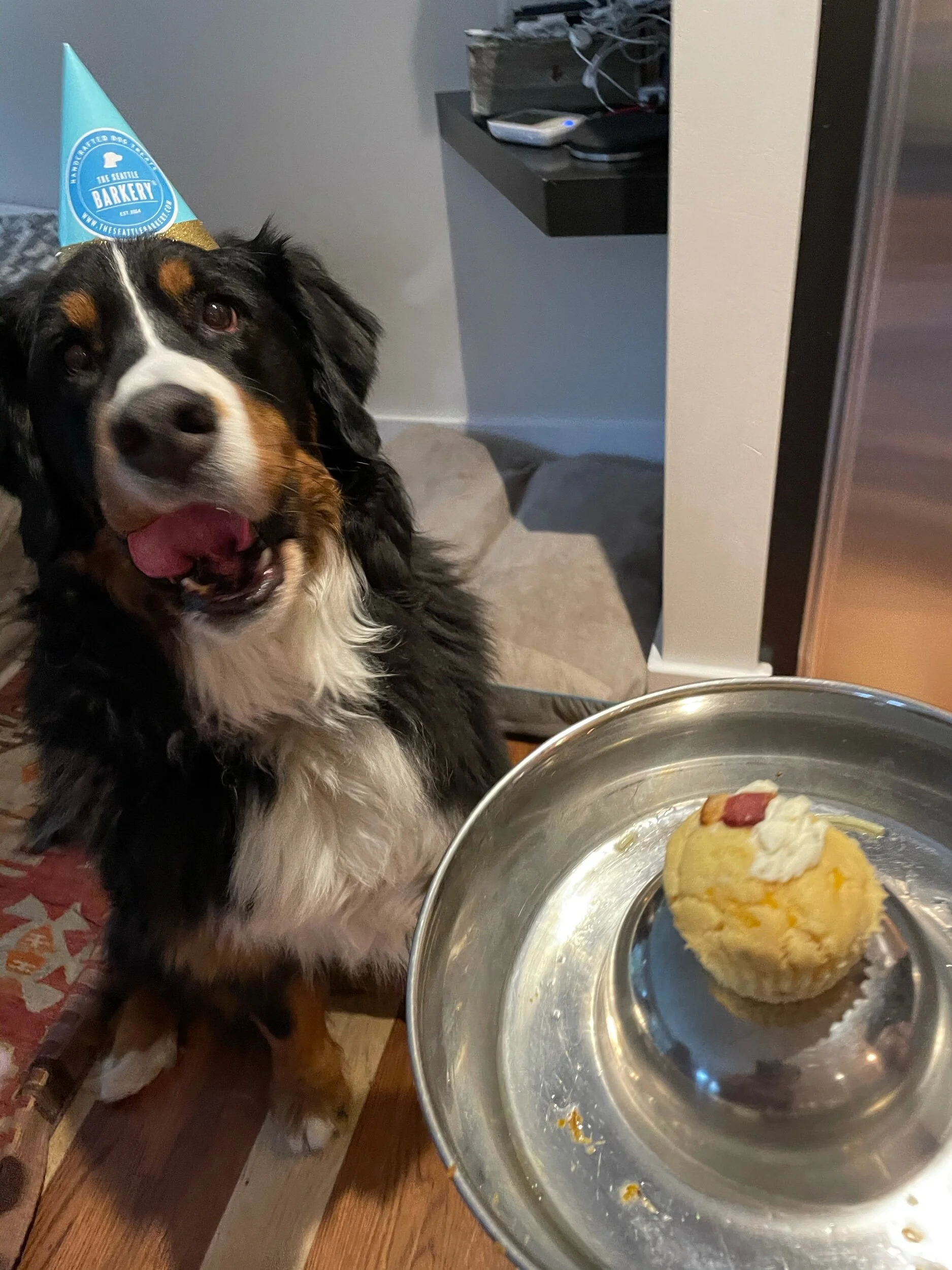 Happy Birthday, Lummi!