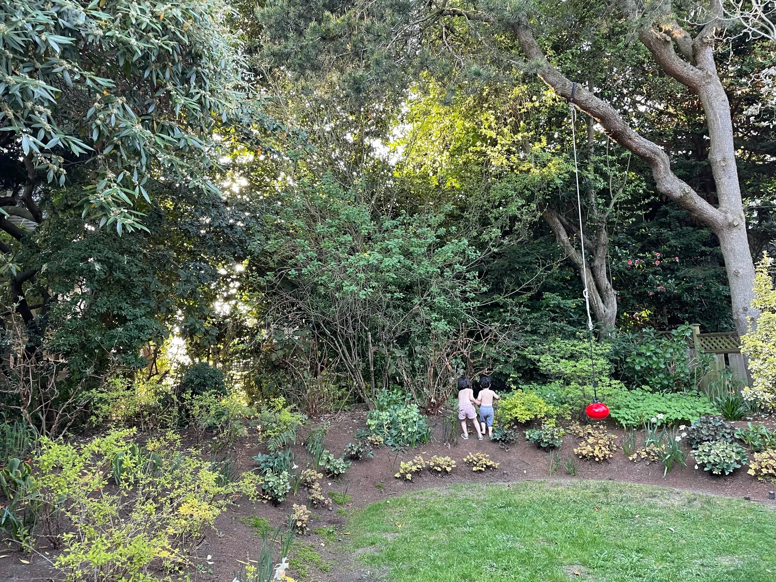 Dinner time entertainment