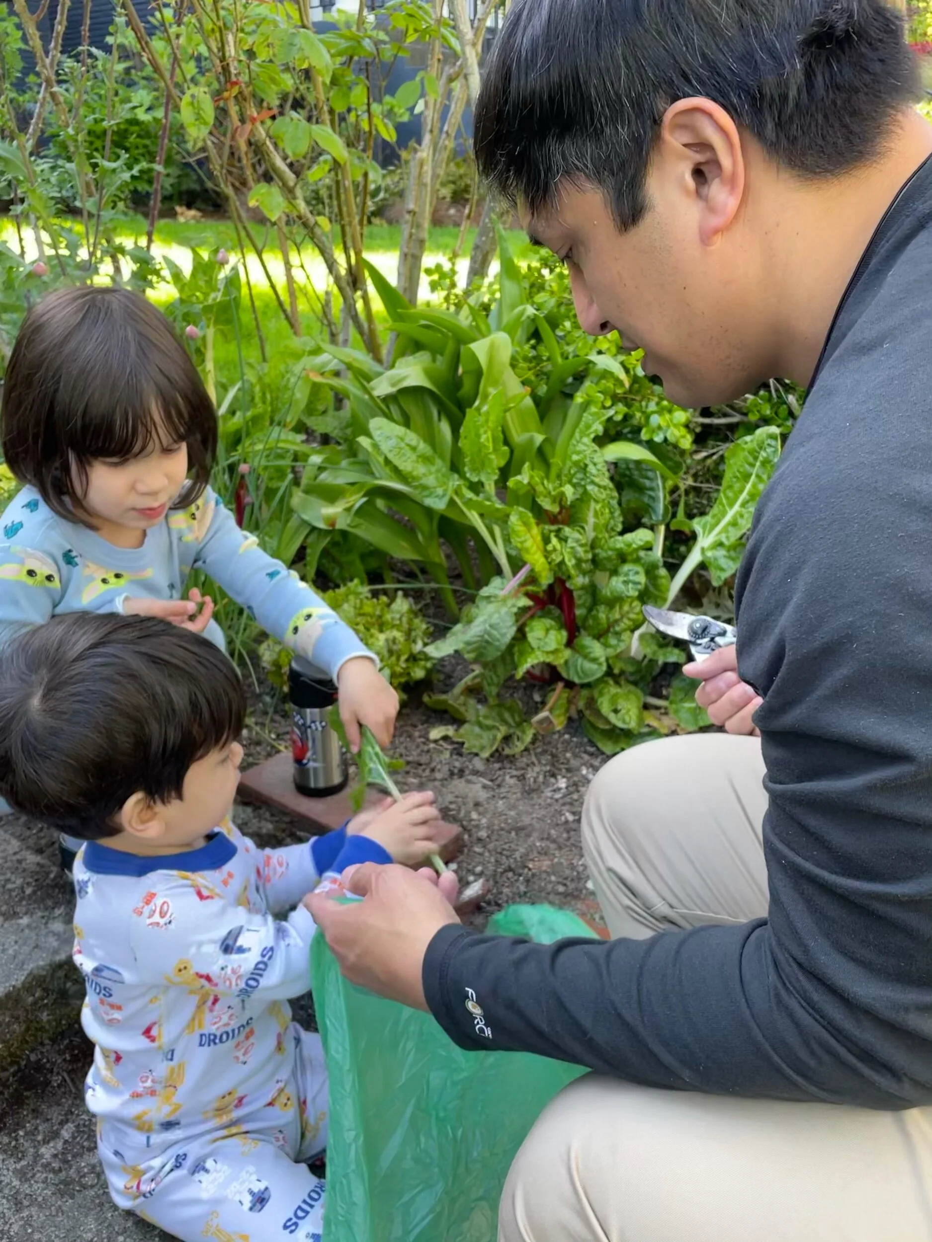 Pass the Swiss chard