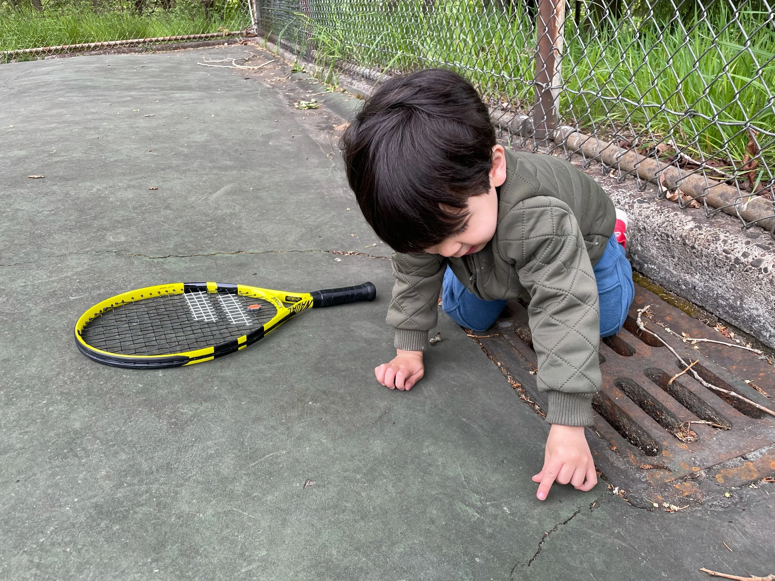 The ants go marching