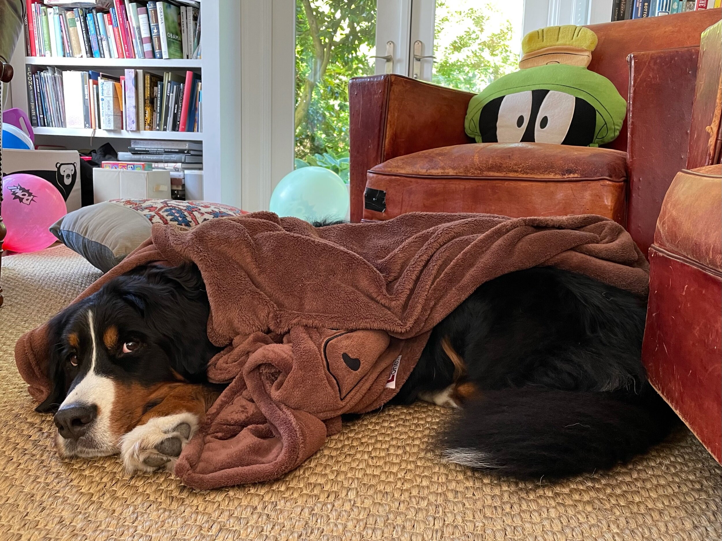 What’s happening here?