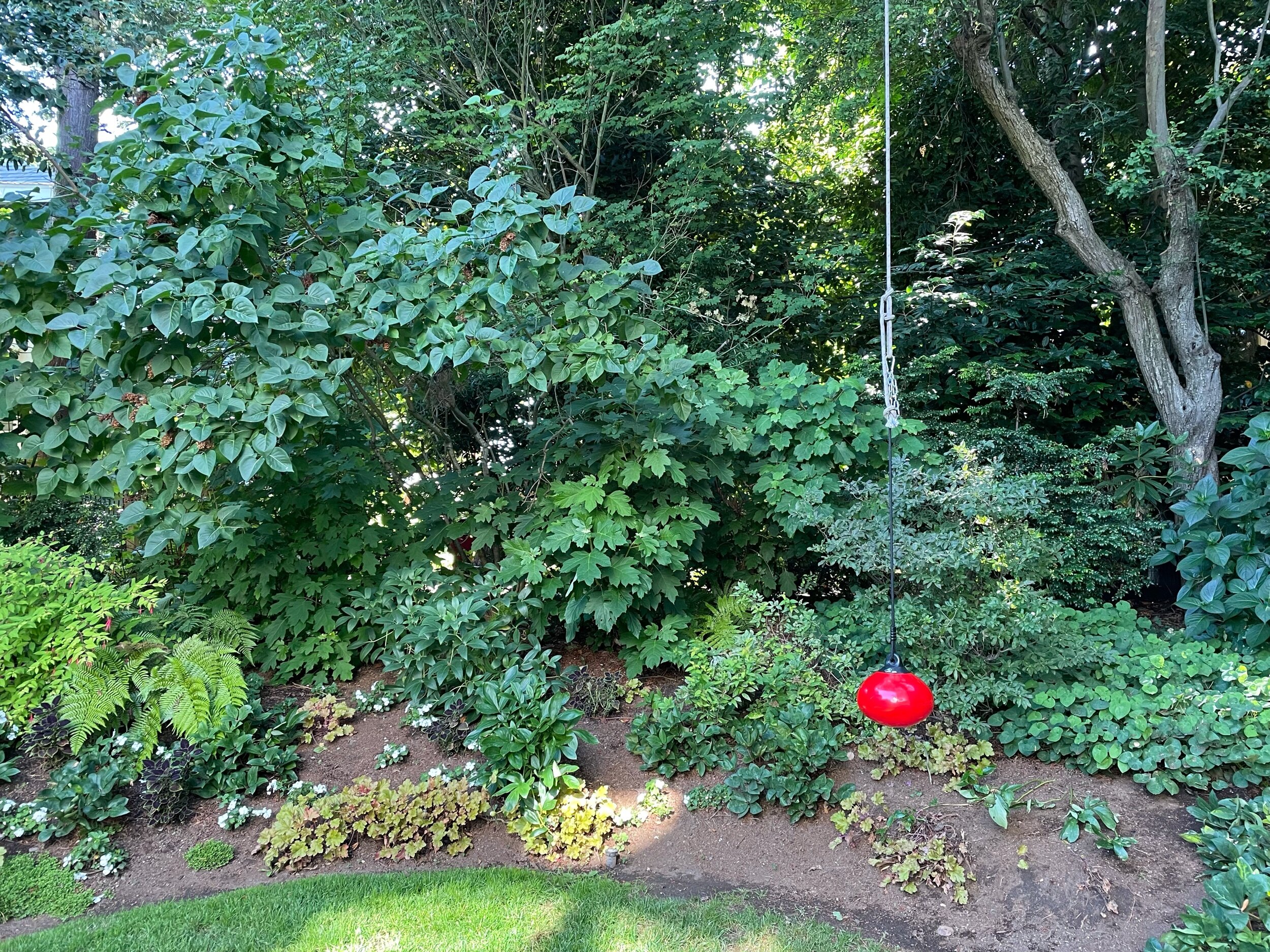 Do you see our children?