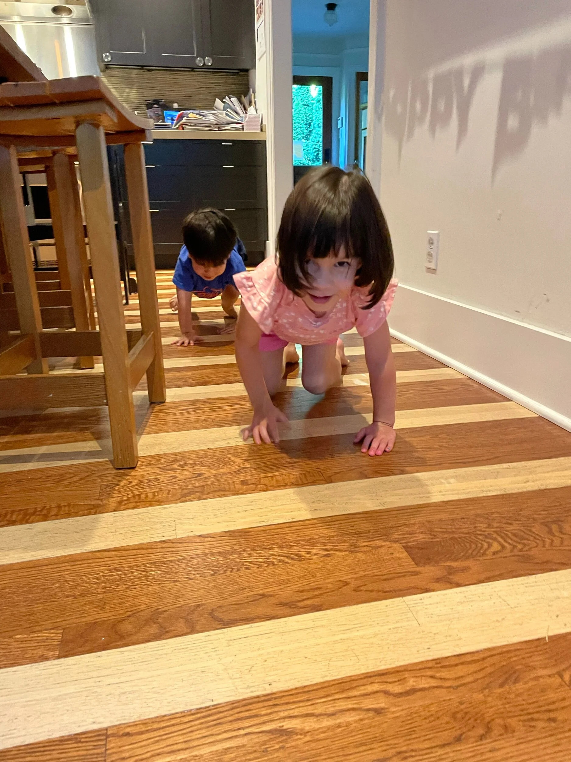 “We’re baby horses”