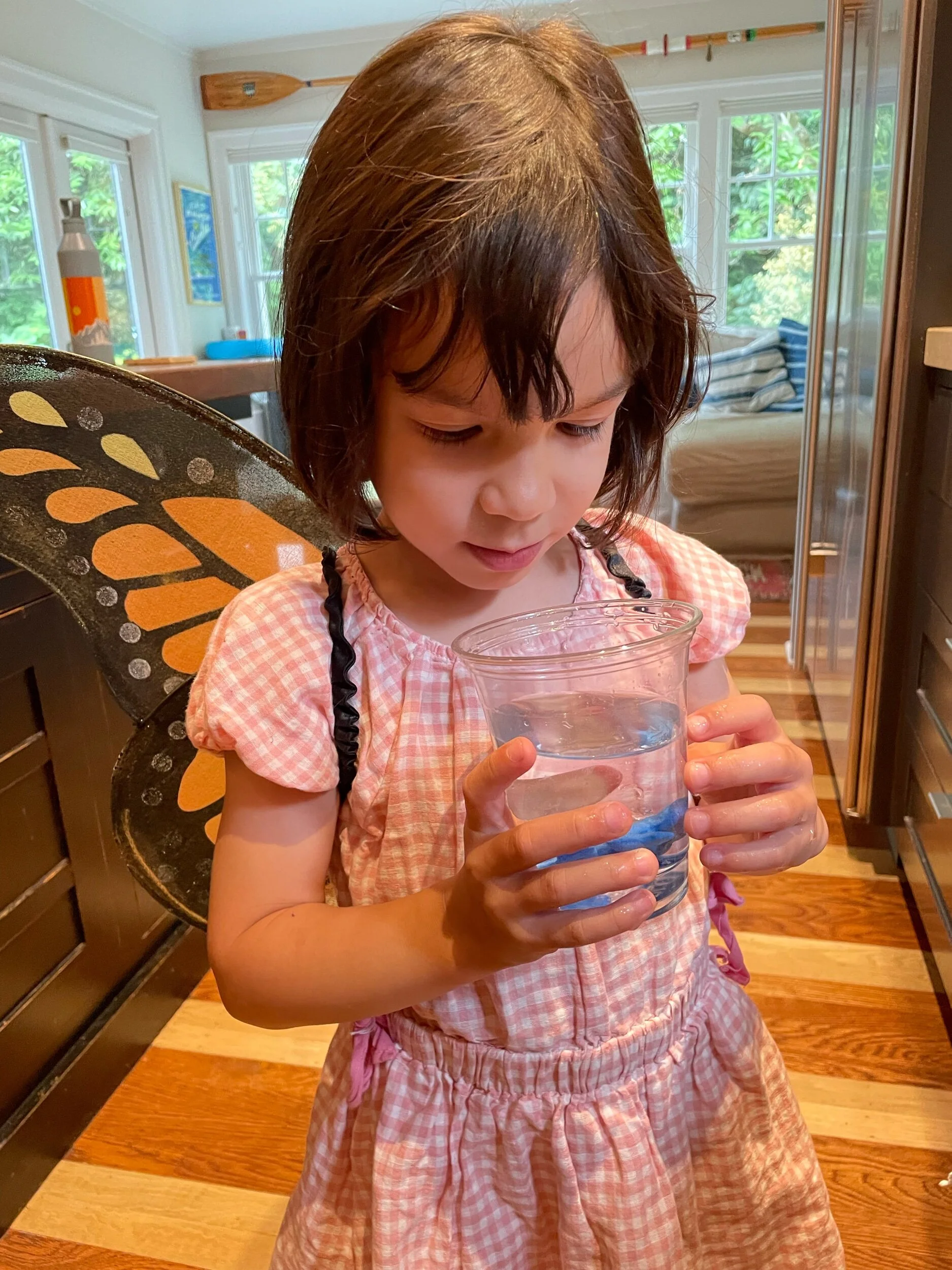 A butterfly grows a lizard