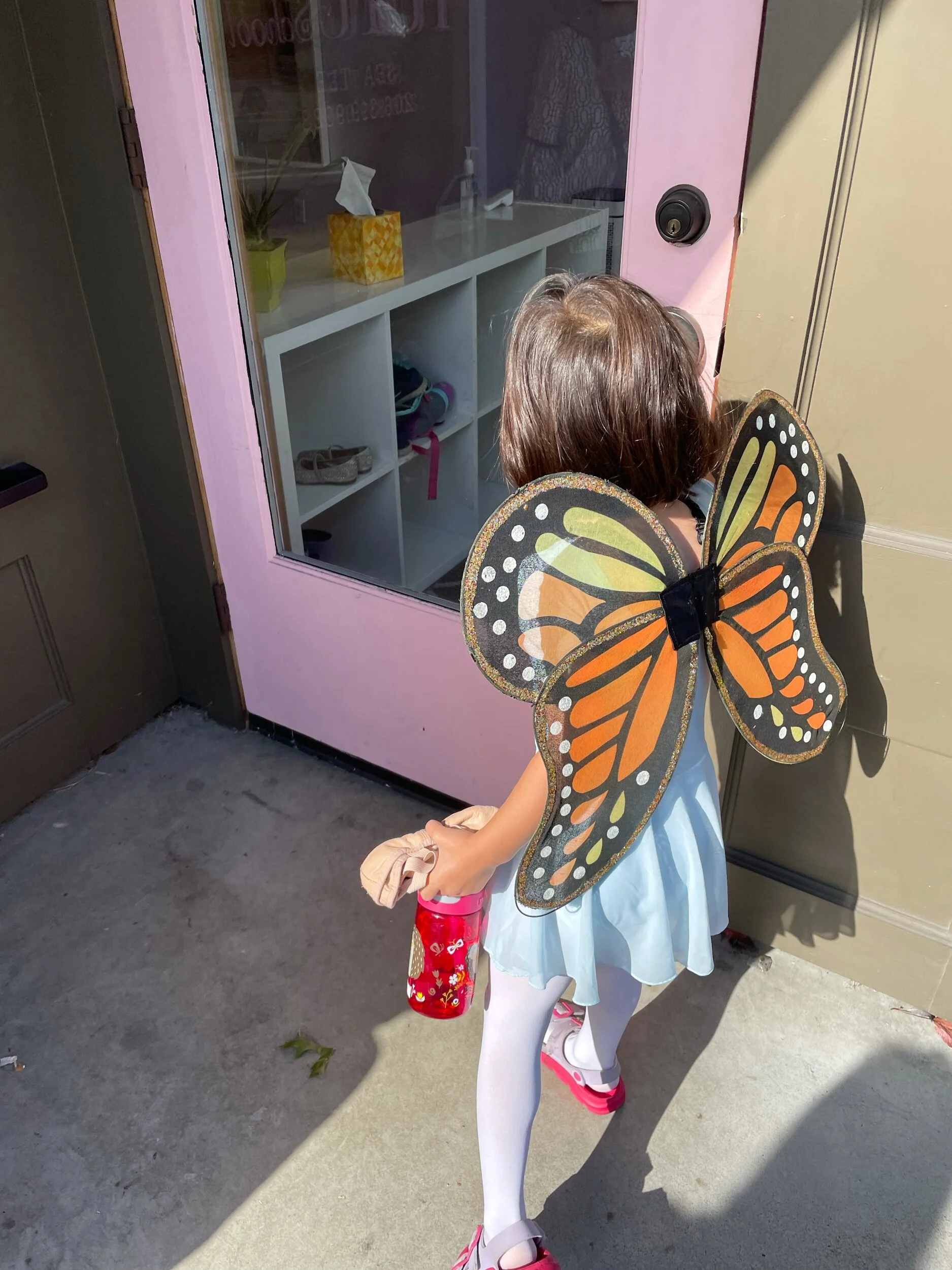 A butterfly goes to ballet