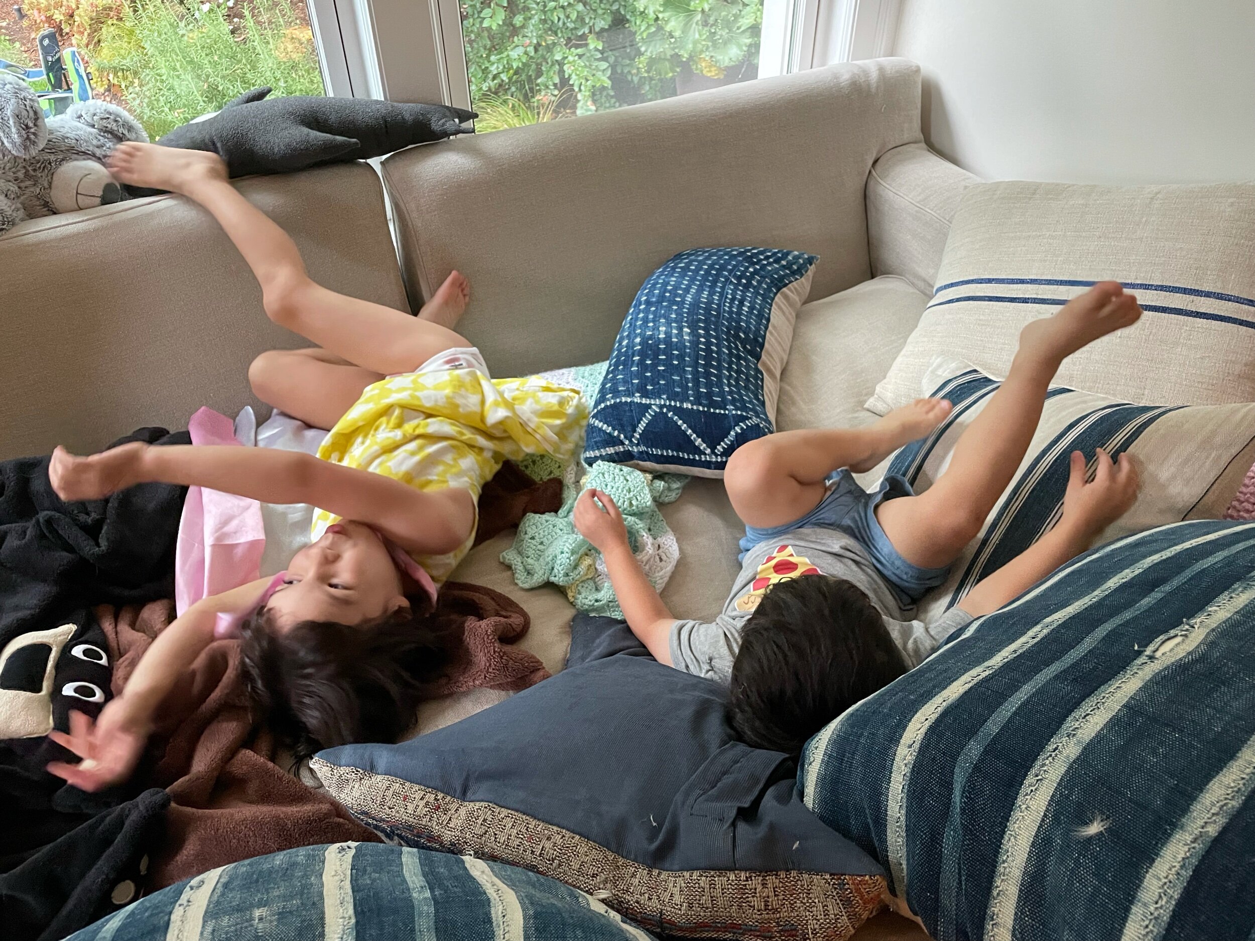 Turtles stuck on their backs