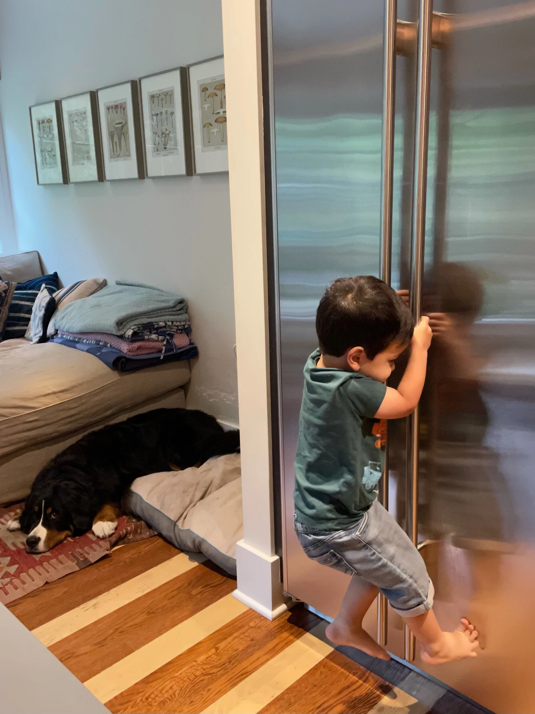 Kid climbing a fridge