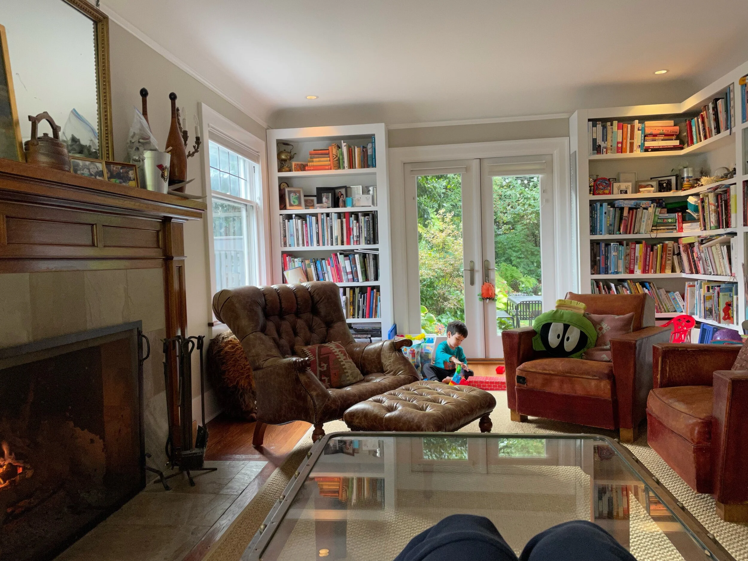 Fireplace fire season