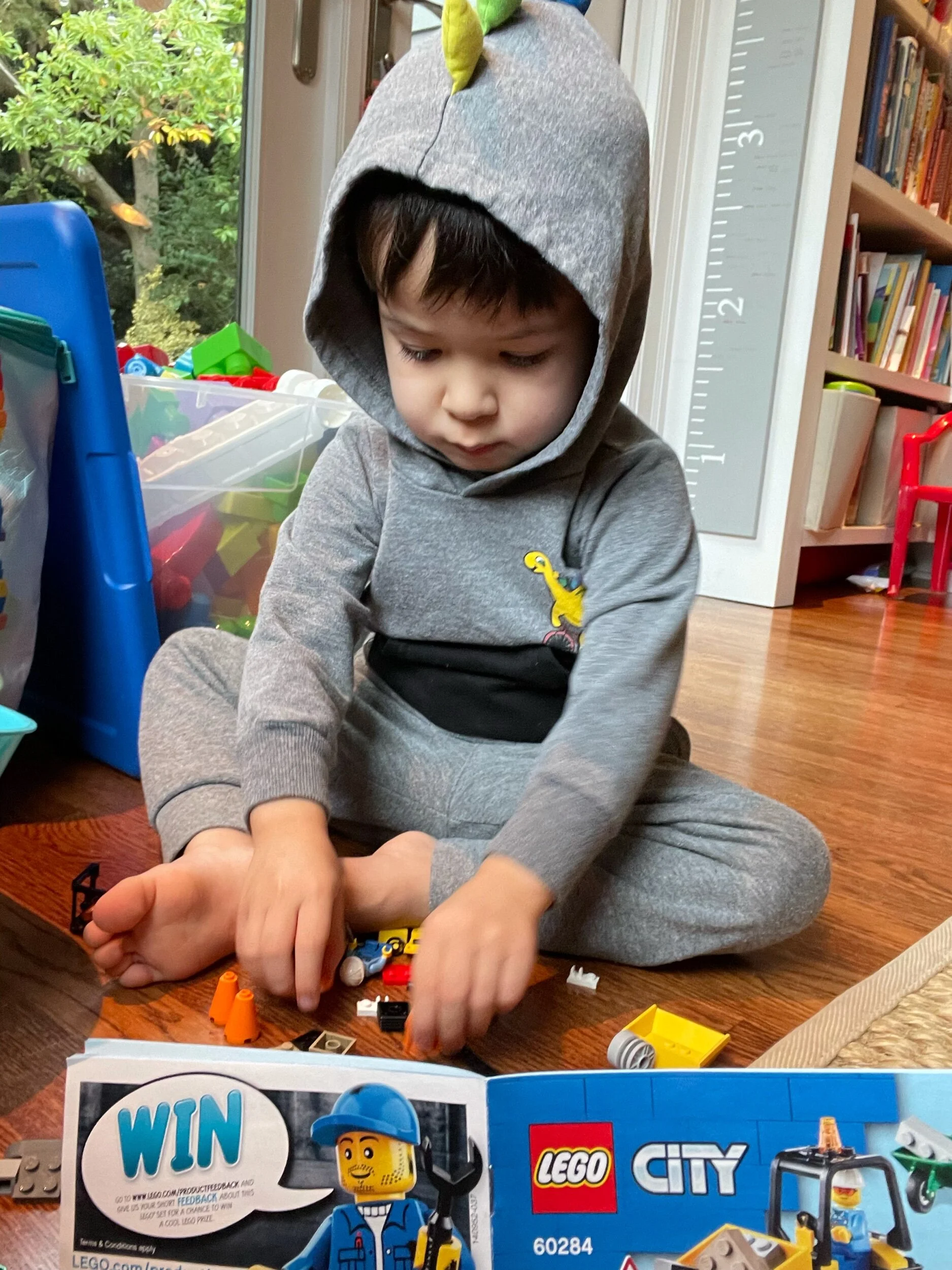 Lego mania has begun