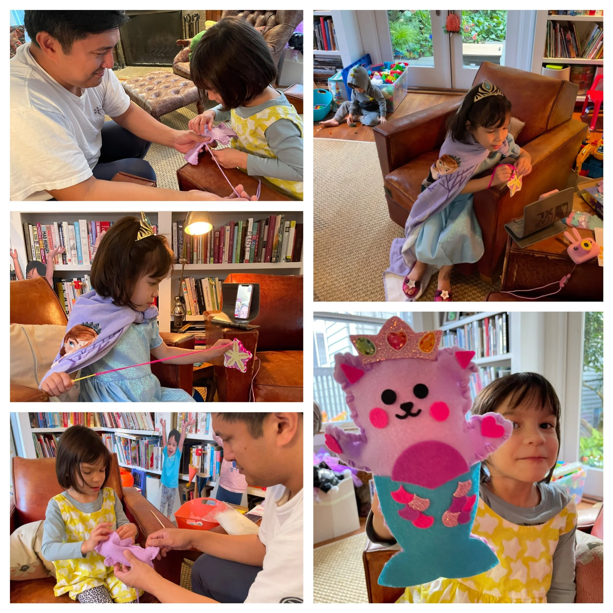 Introducing, Rainbow Flower