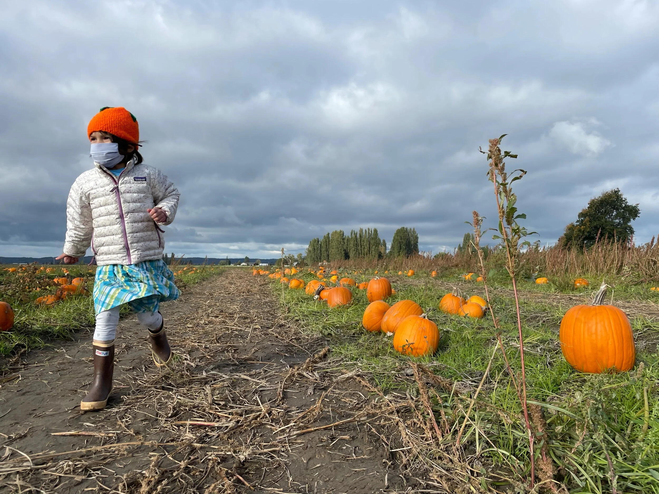In search of the Great Pumpkin