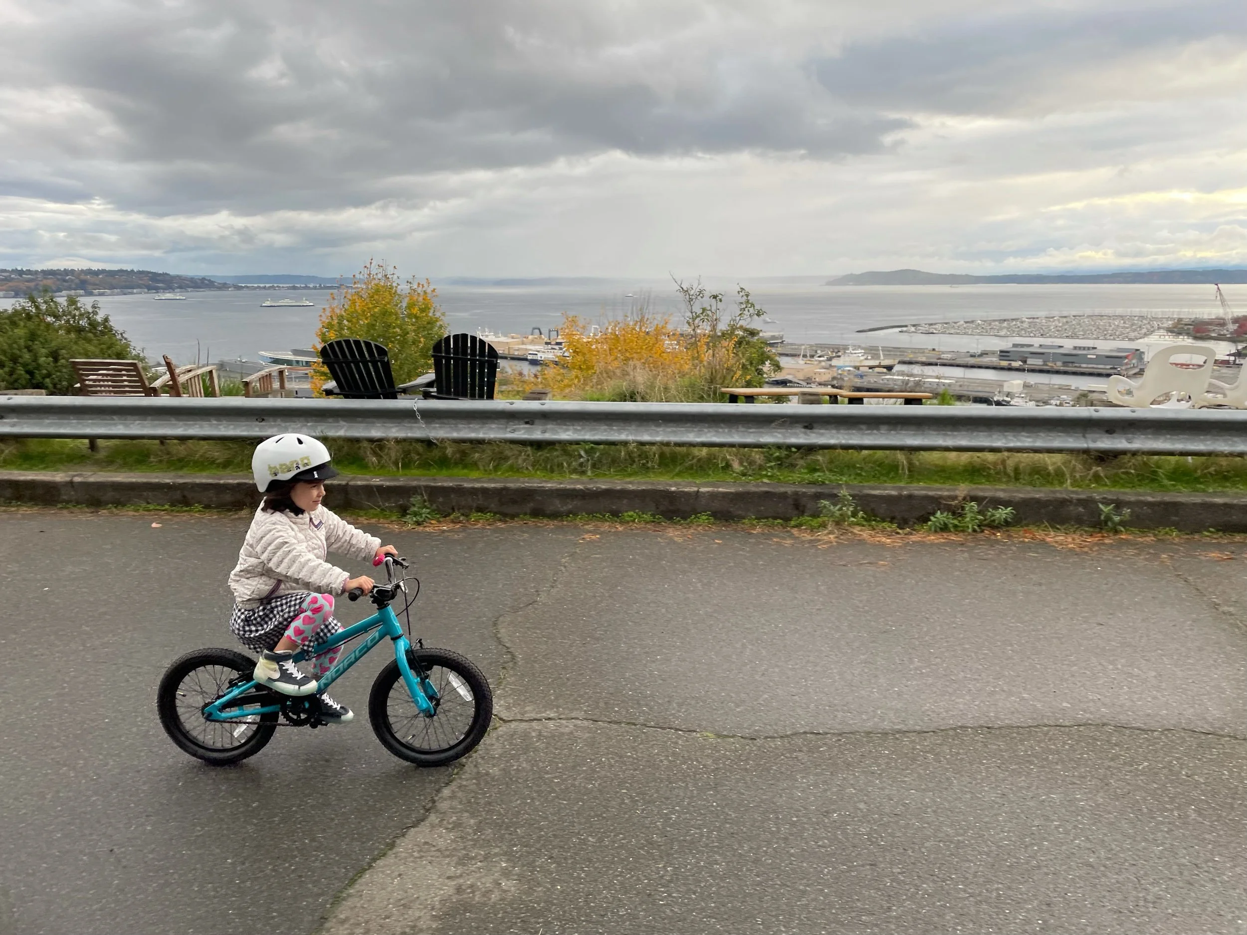 Handle brakes or bust