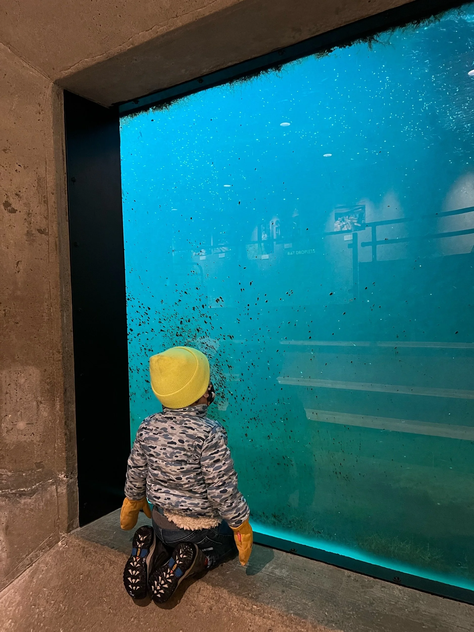 A whole lot of nothing