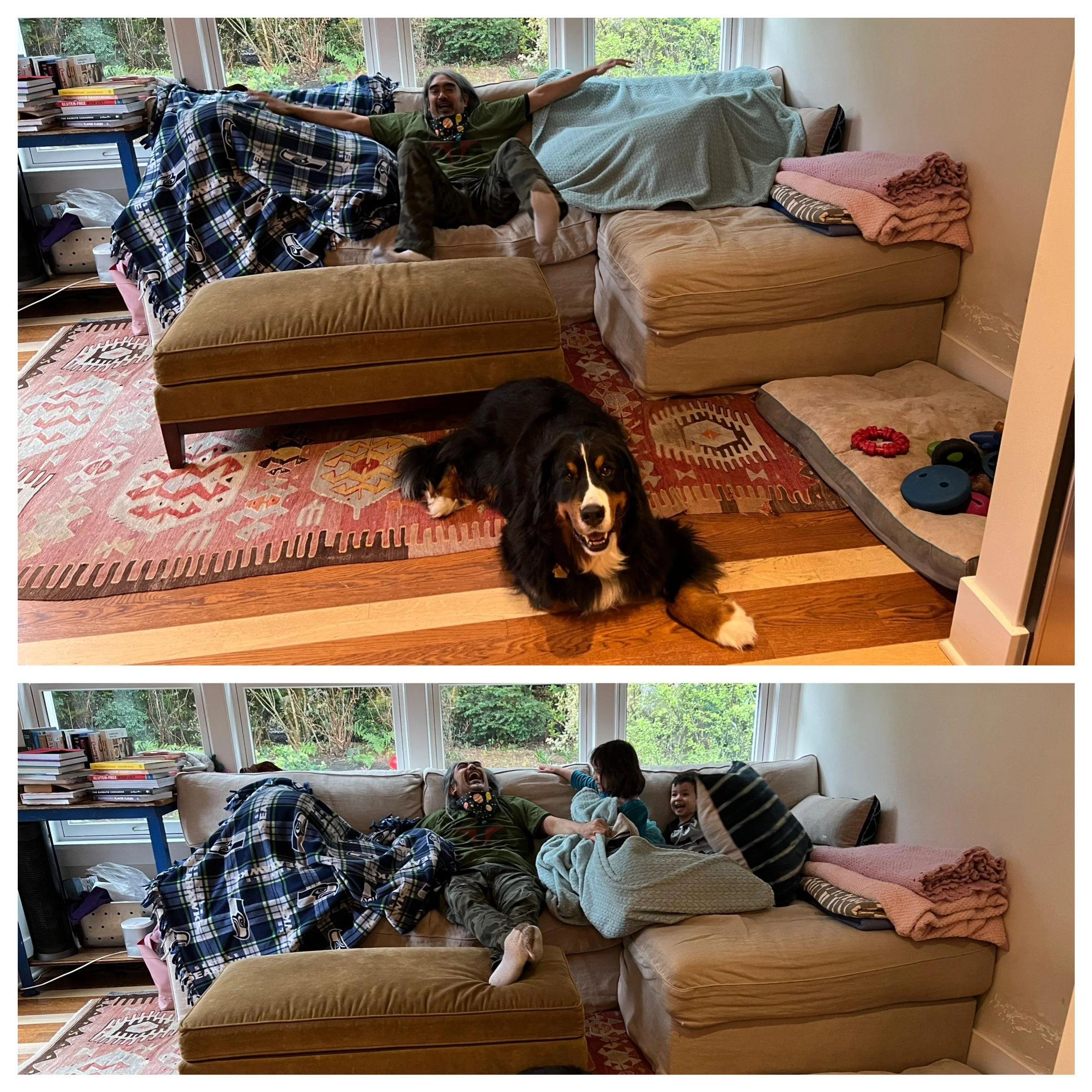 Hide and seek jokesters