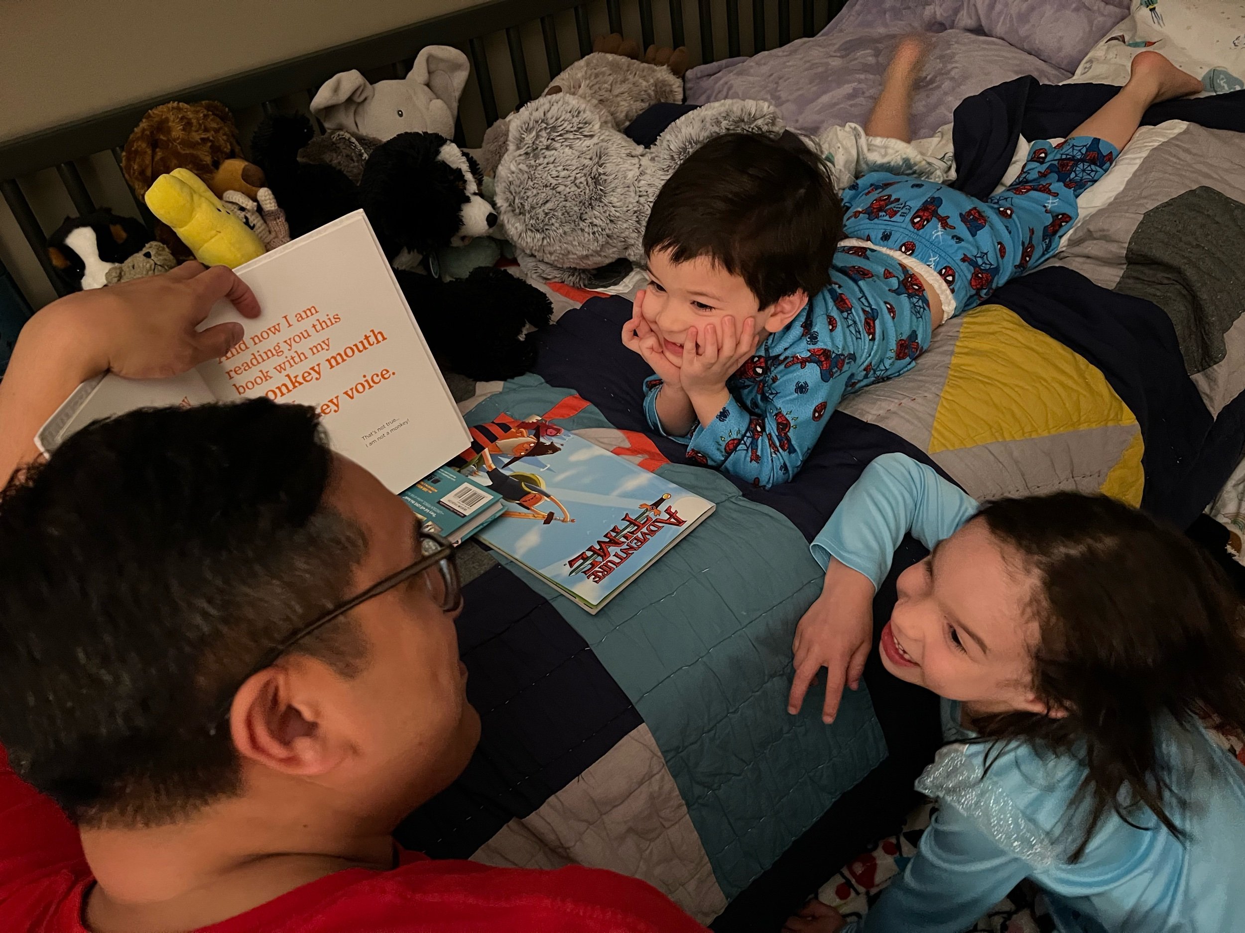 The Book With No Pictures