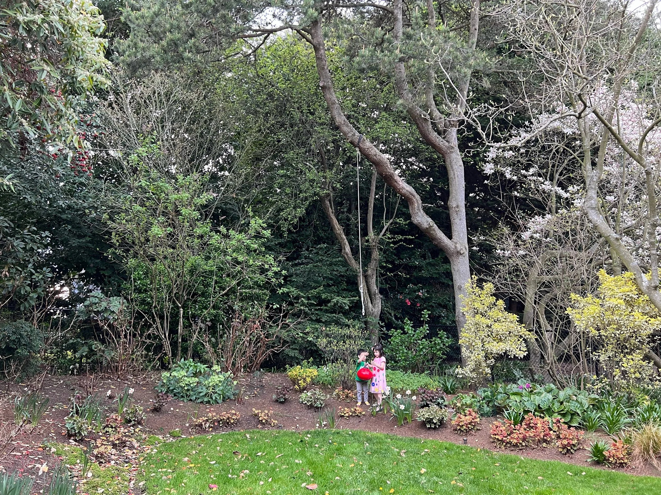 Let the backyard season begin