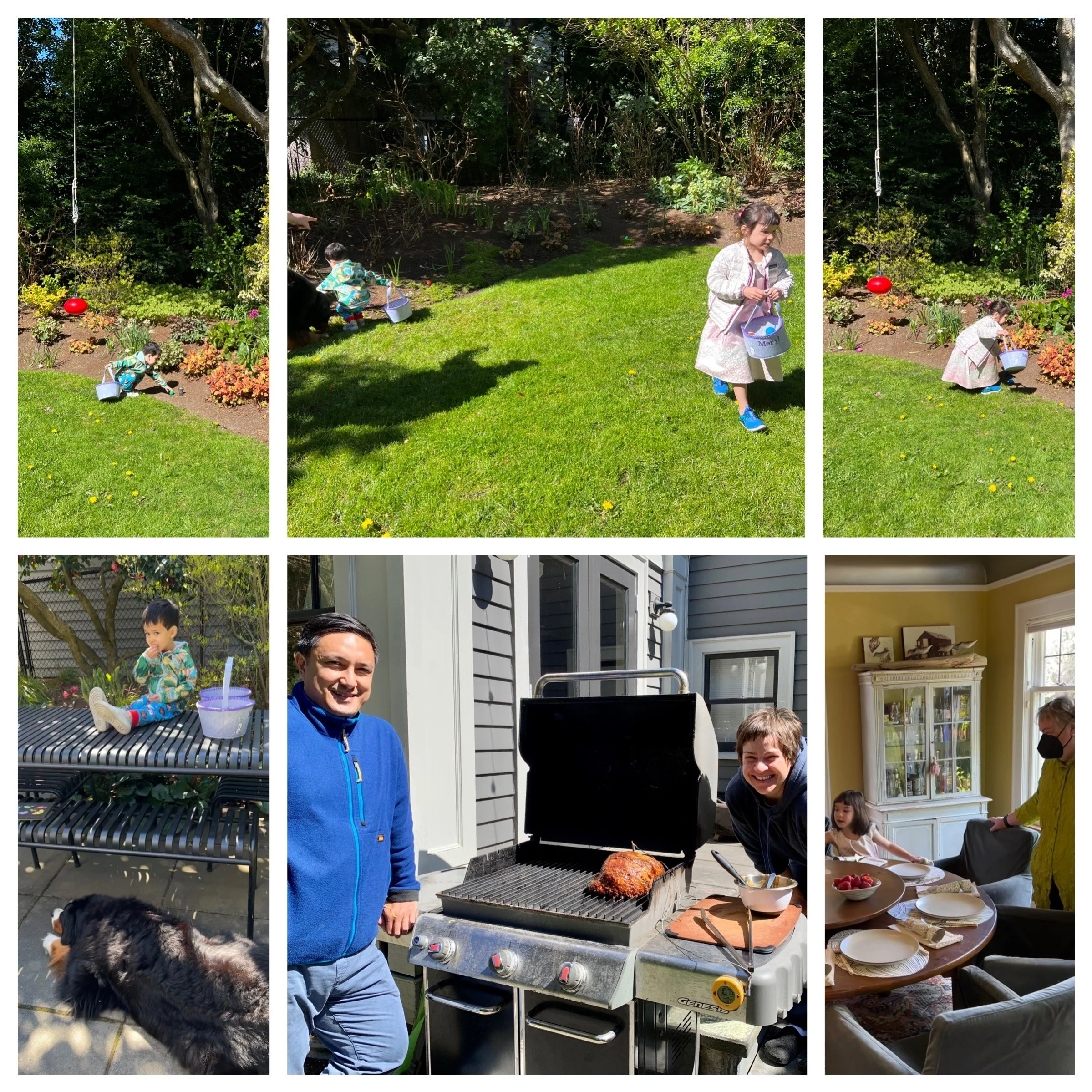 Eggs on the green and ham