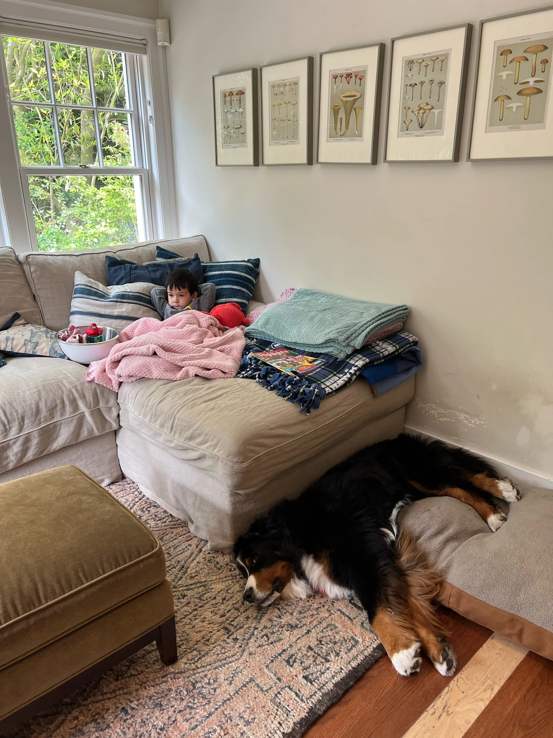 This is your brain on TV