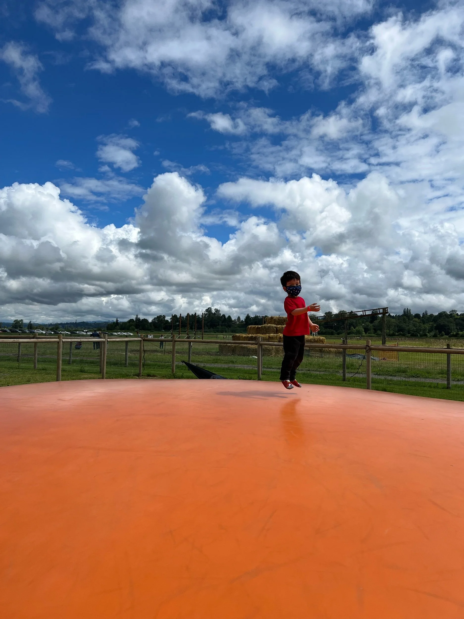 Bounce, bounce, bounce