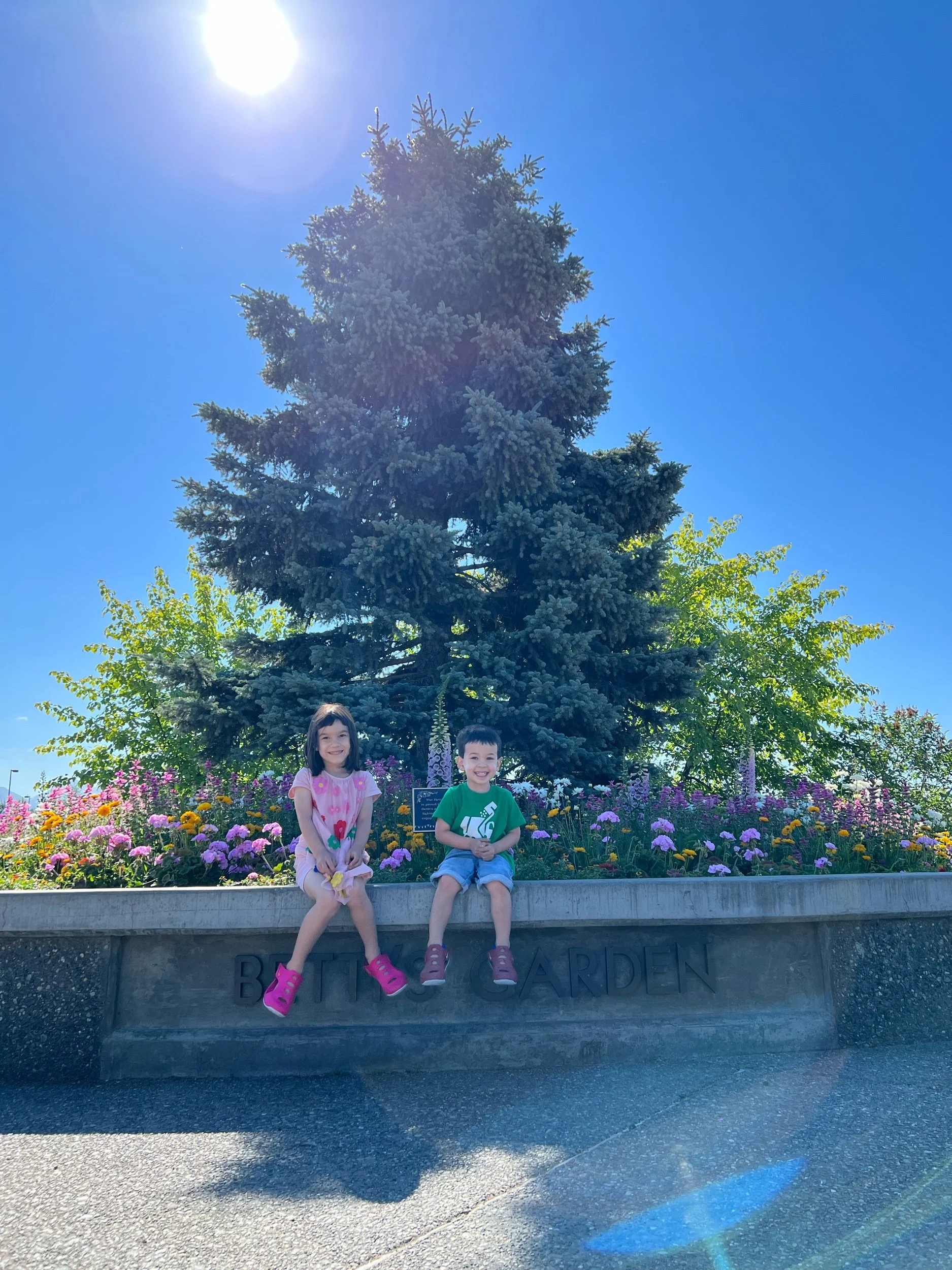 Great Grandma’s garden