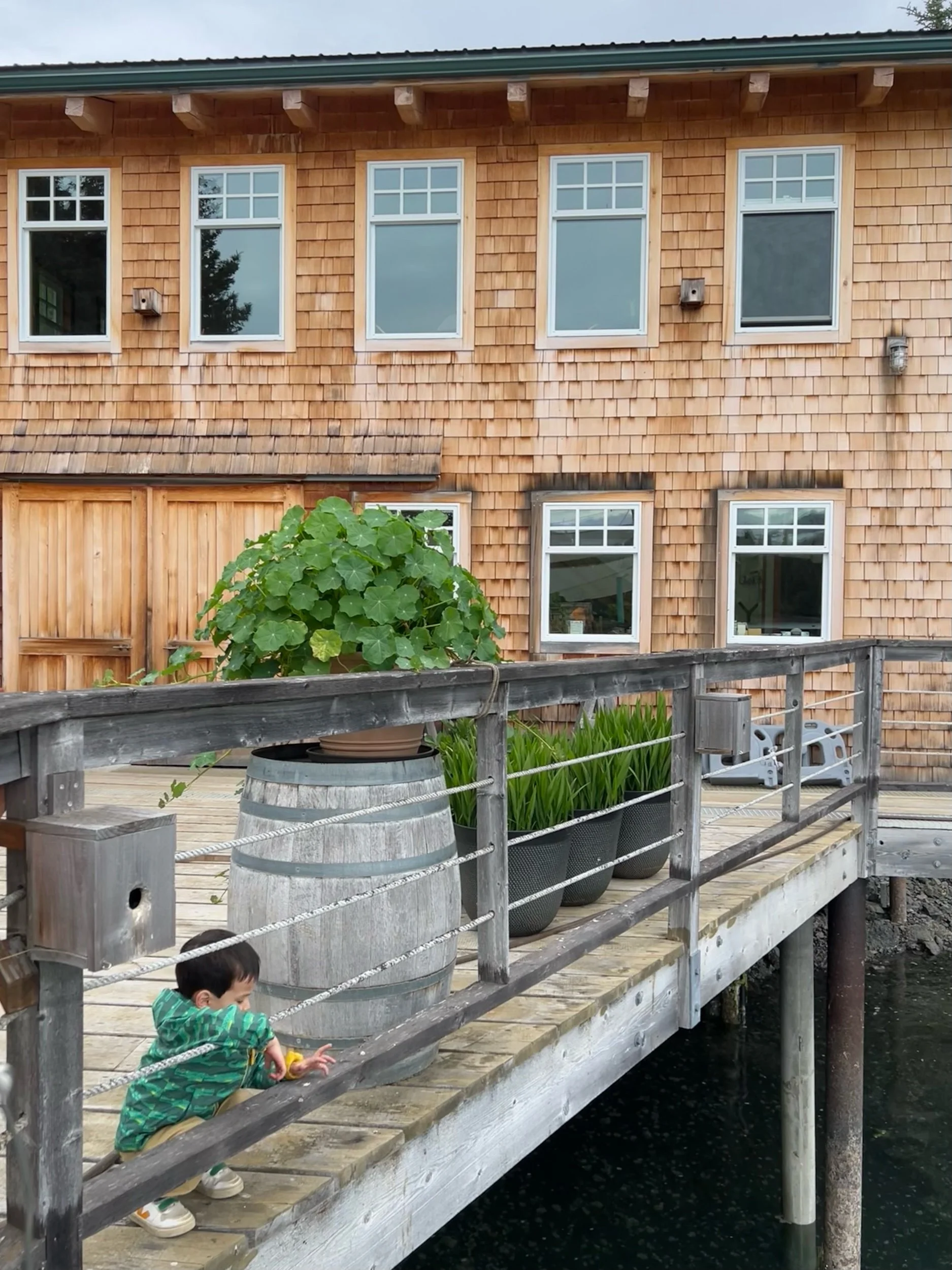 Sparrows and splashes