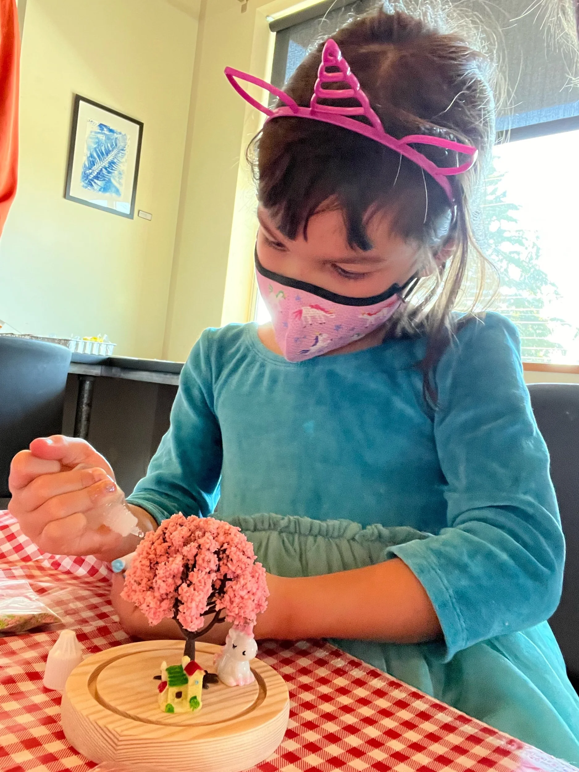 Birthday circuit terrarium