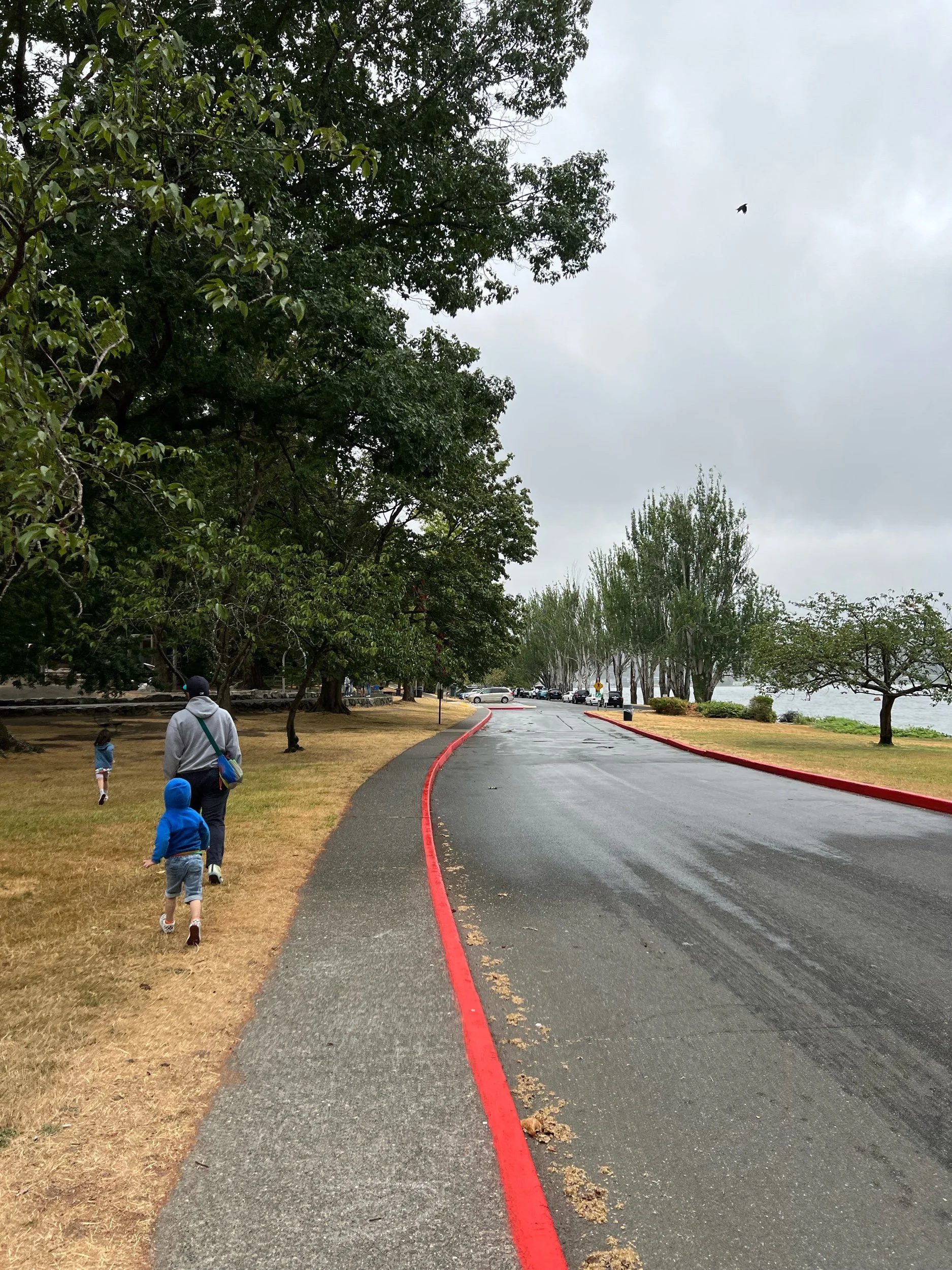 It turned into fall, for a moment