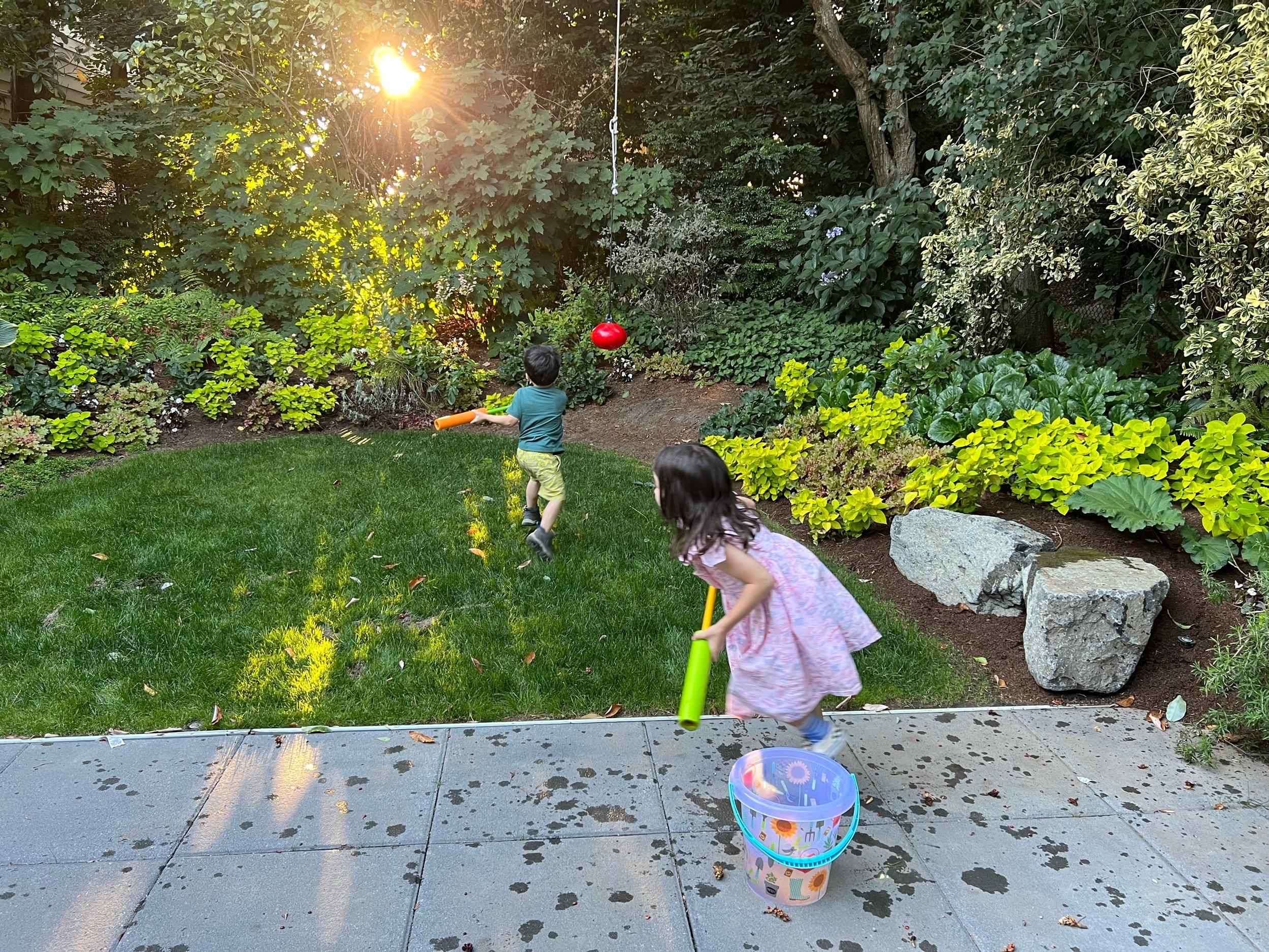 Competitive garden watering