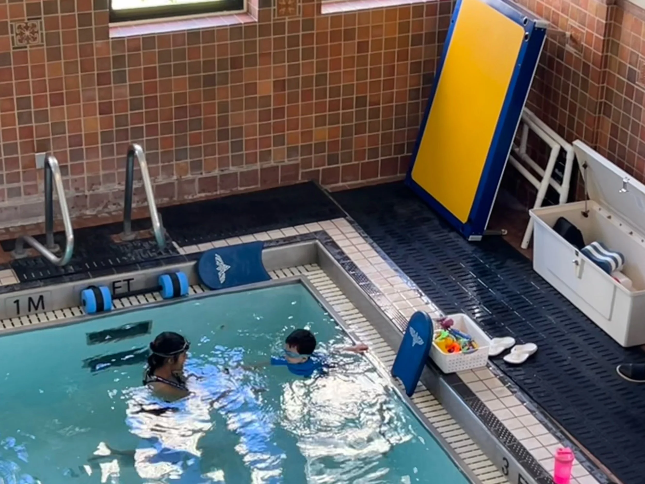 Someday they’ll swim