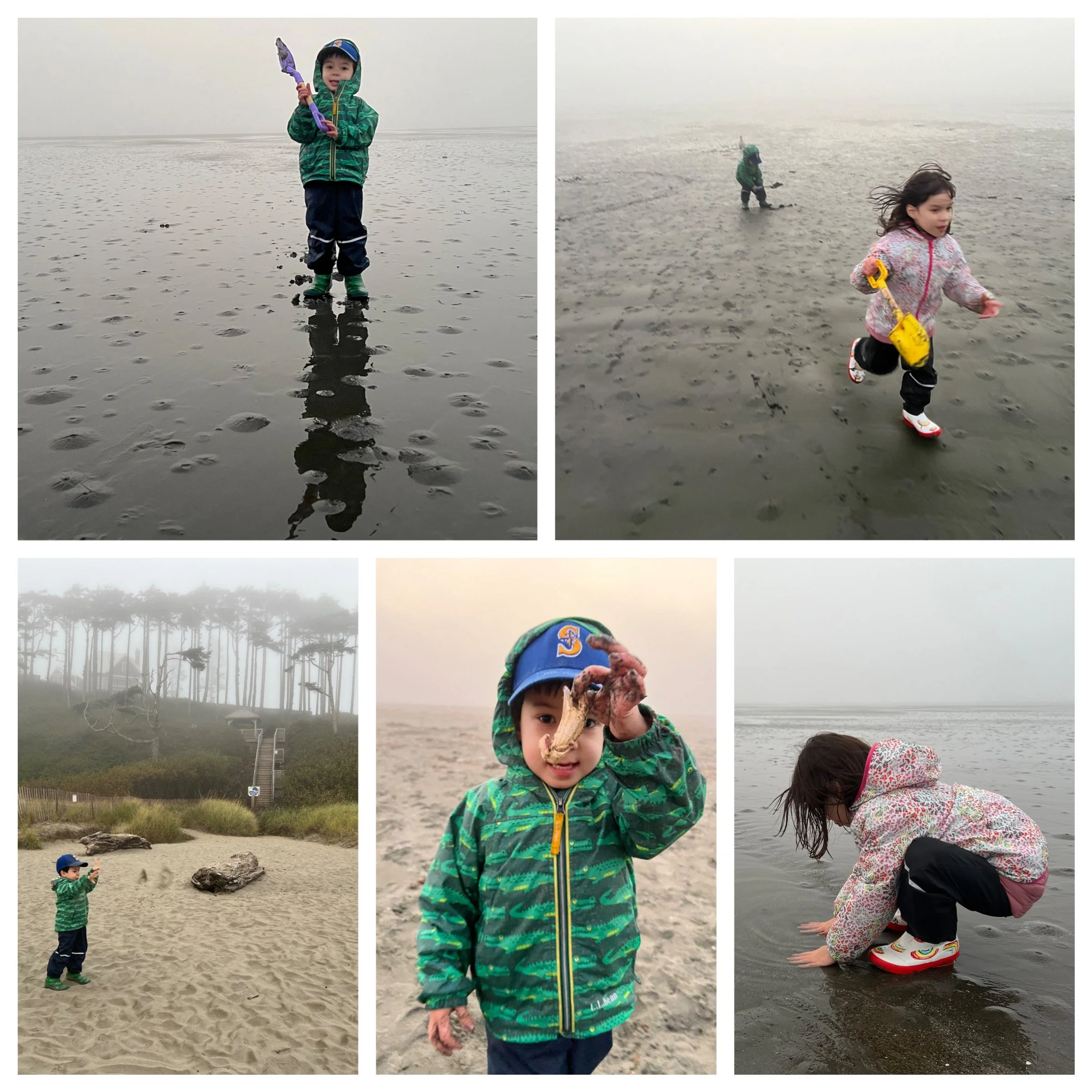 Low tide fun