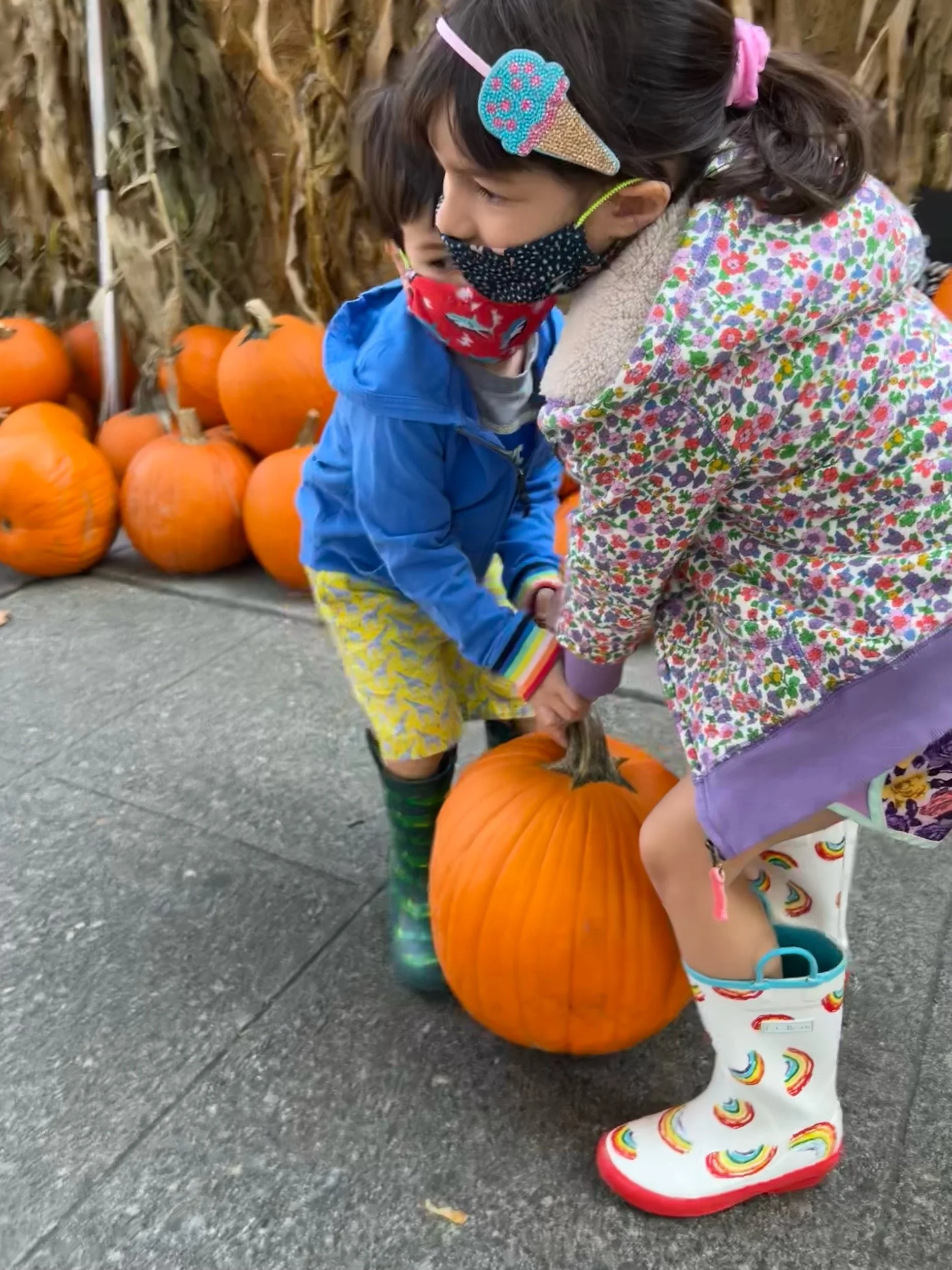 Grocery store harvest